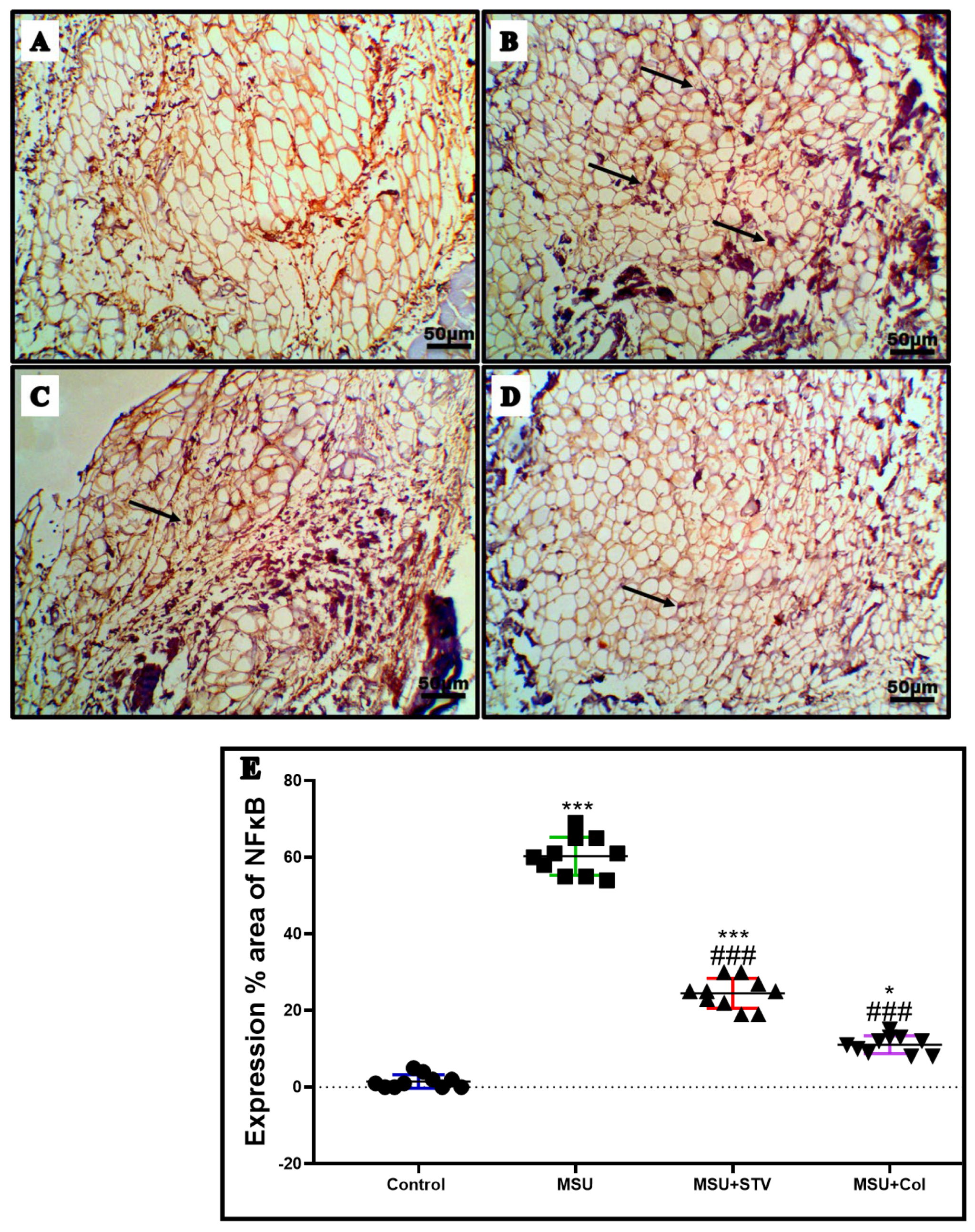 Processes 10 01751 g008