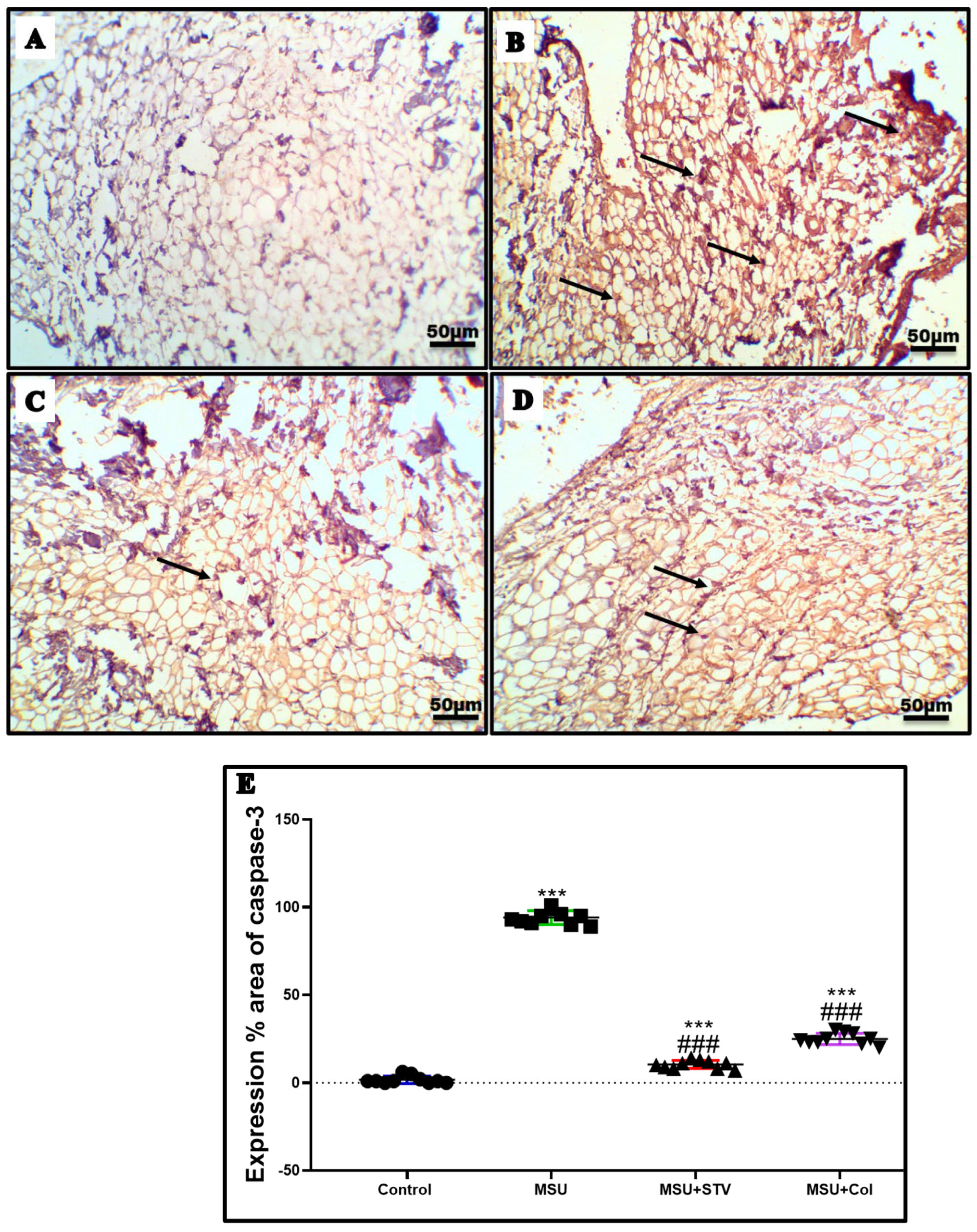 Processes 10 01751 g013
