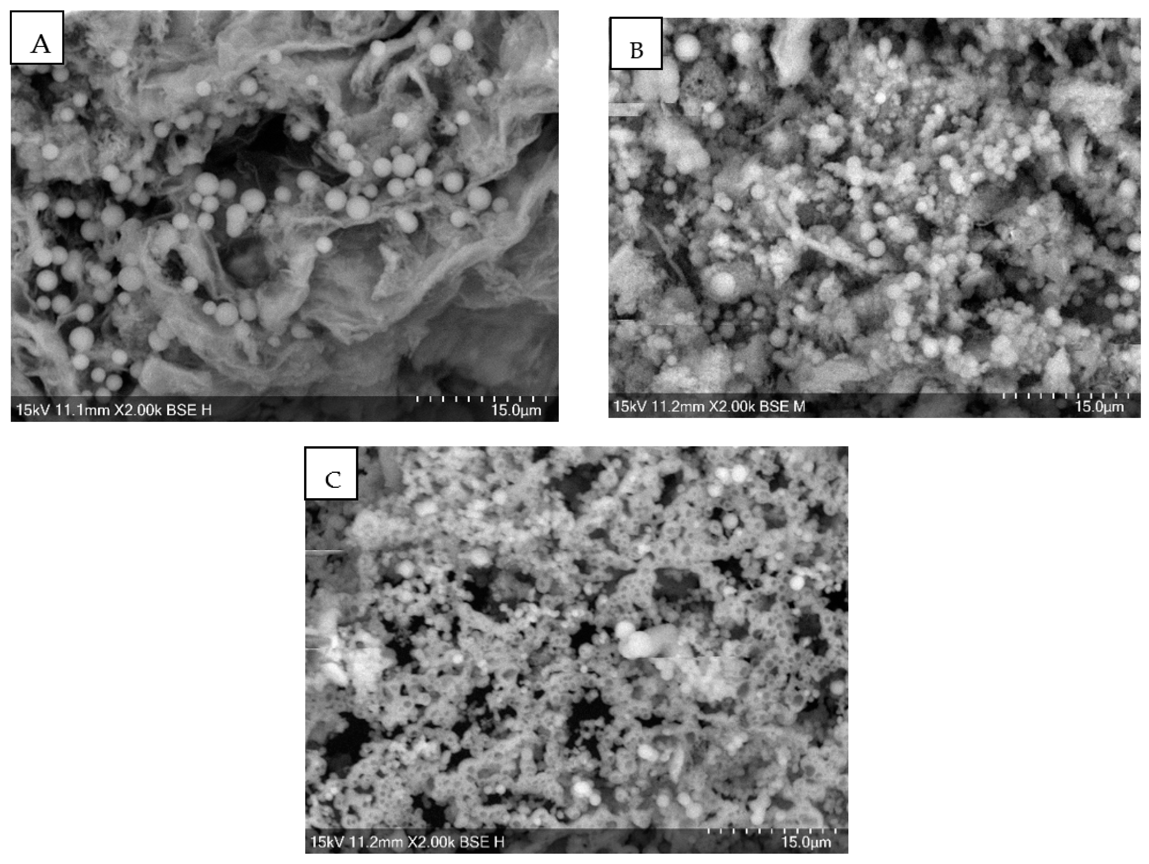 Processes 10 01756 g002