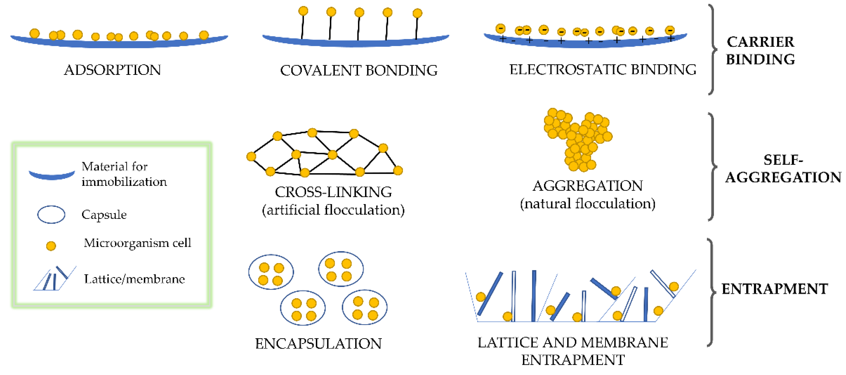 Processes 10 01758 g002
