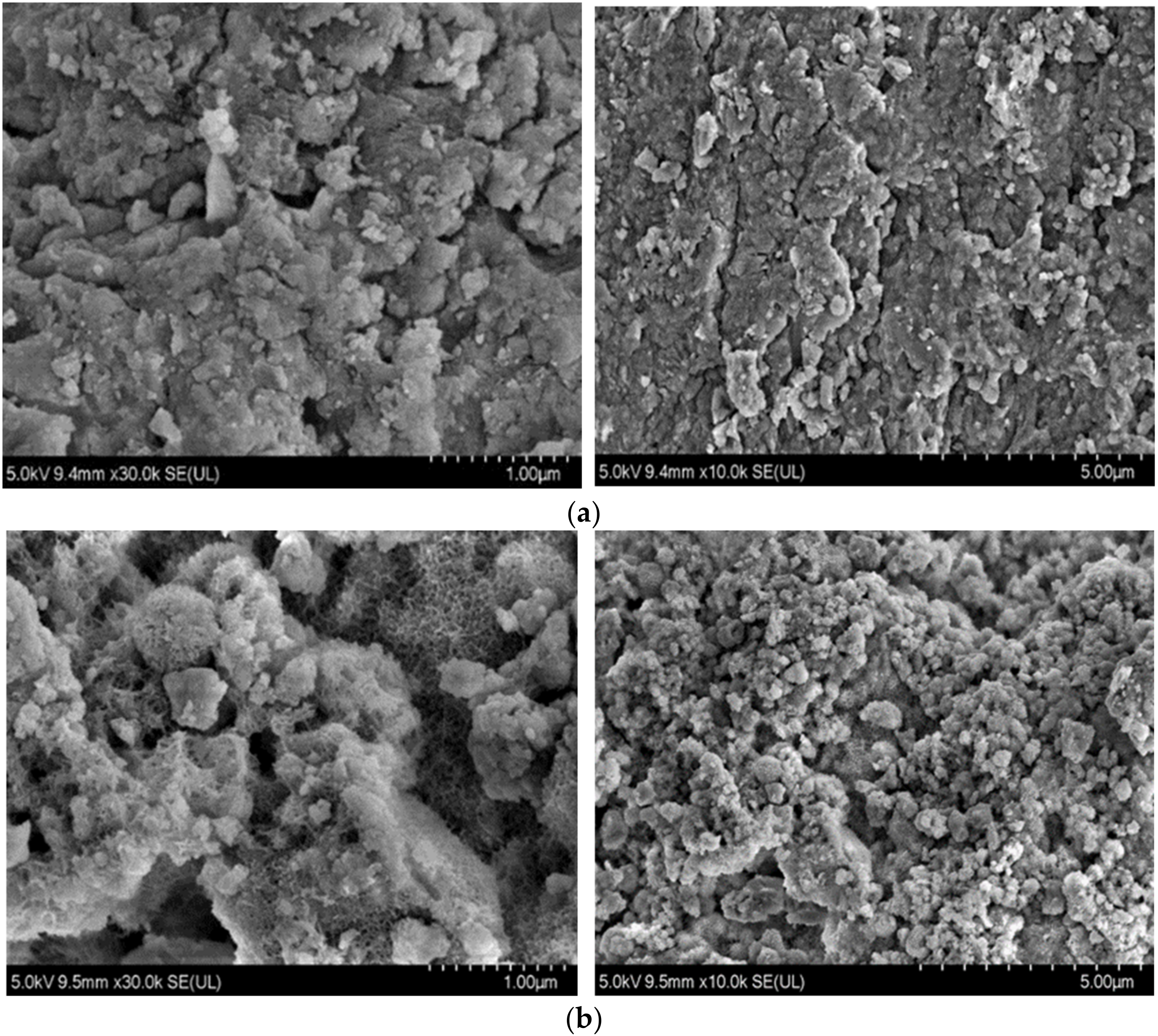 Processes 10 01761 g003