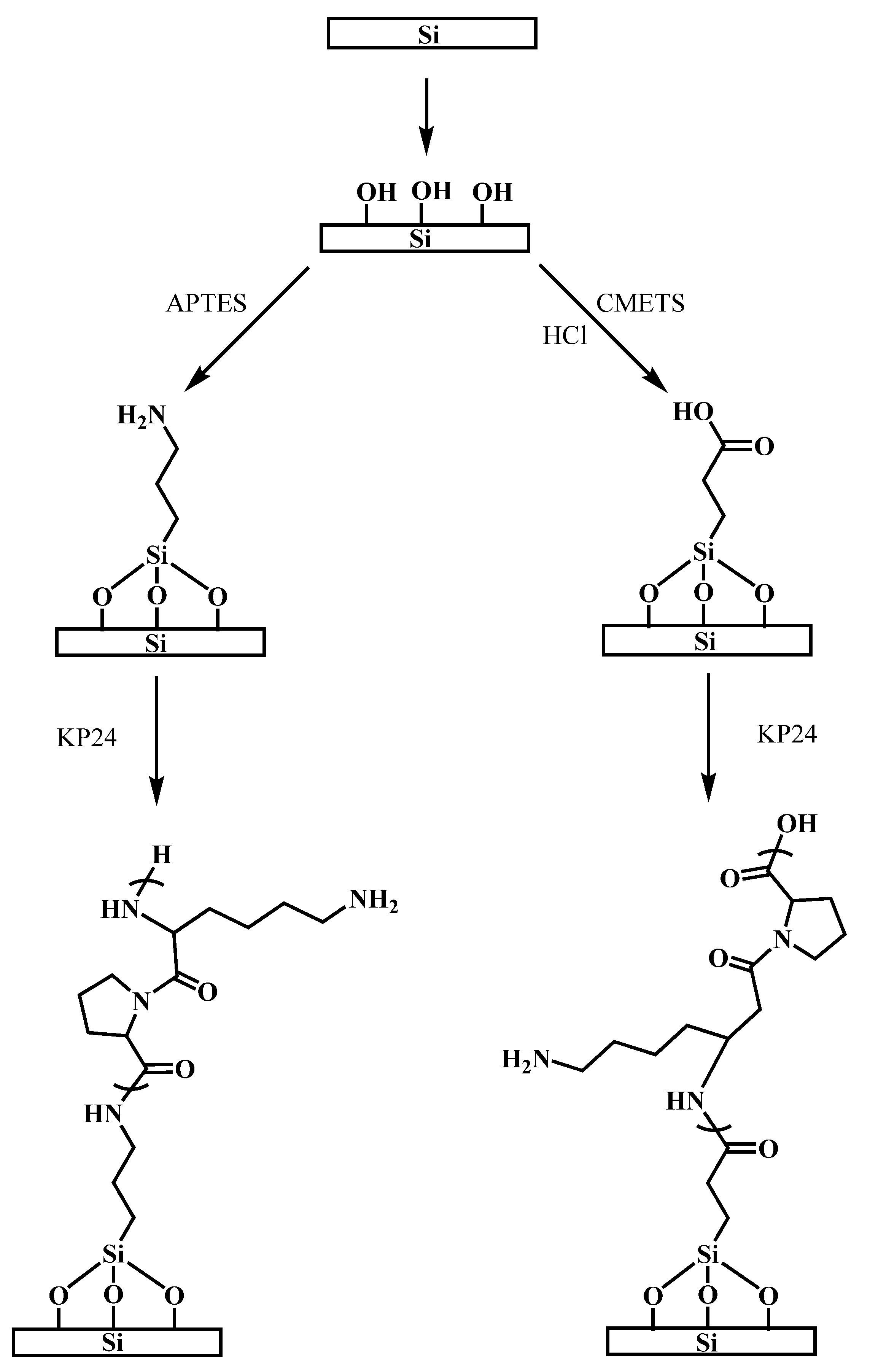 Processes 10 01779 g001