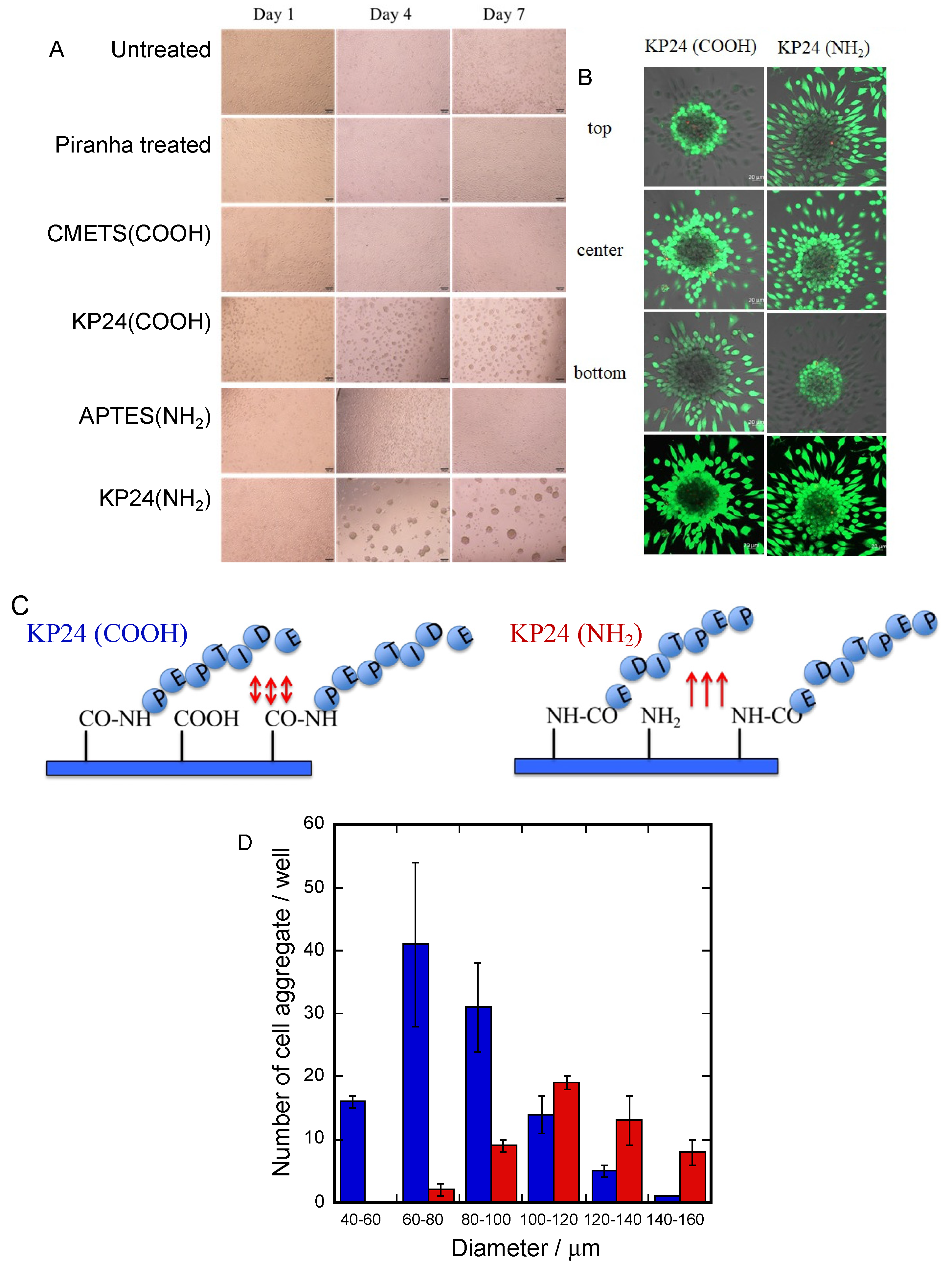 Processes 10 01779 g004