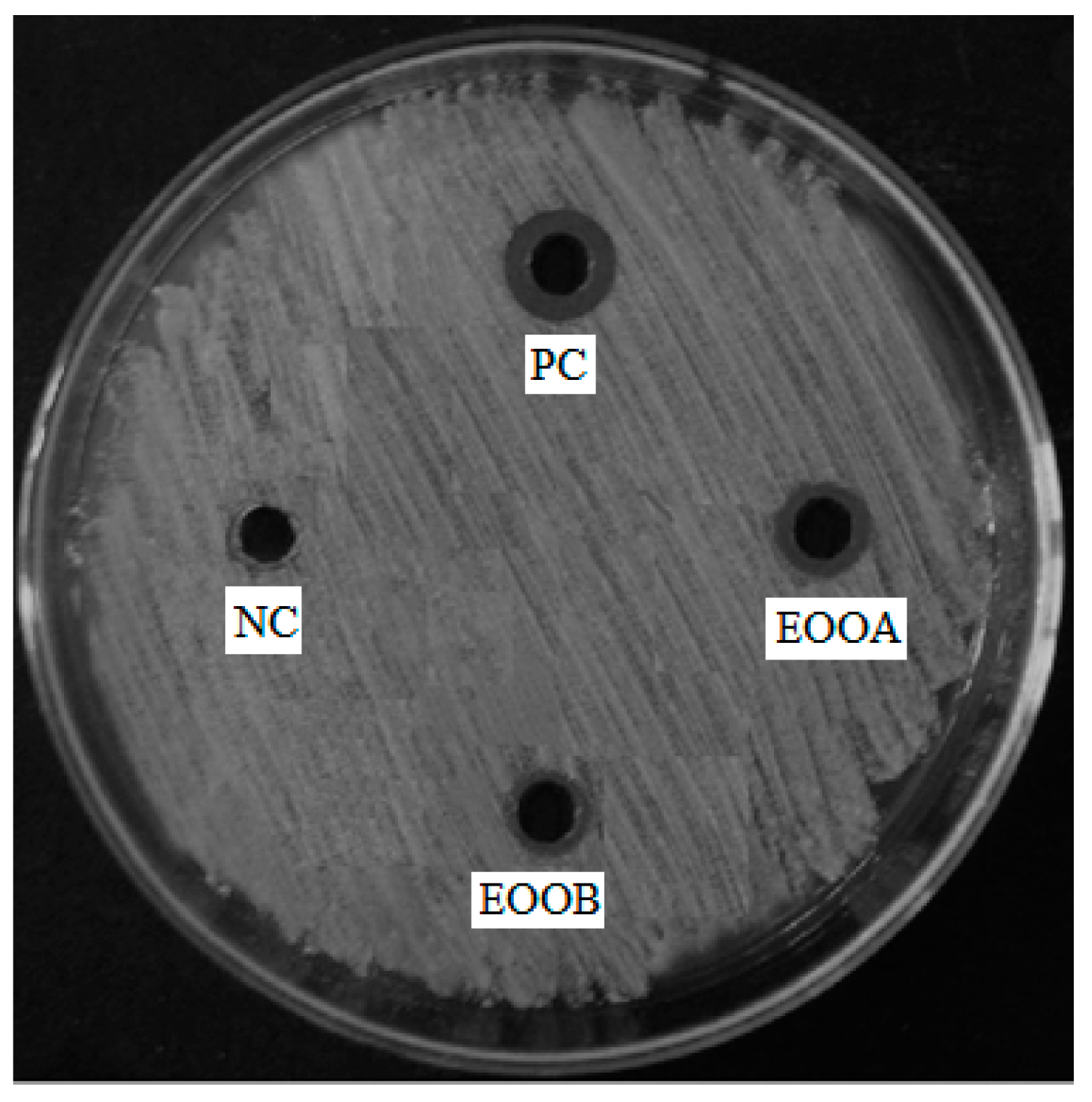 Processes 10 01785 g001