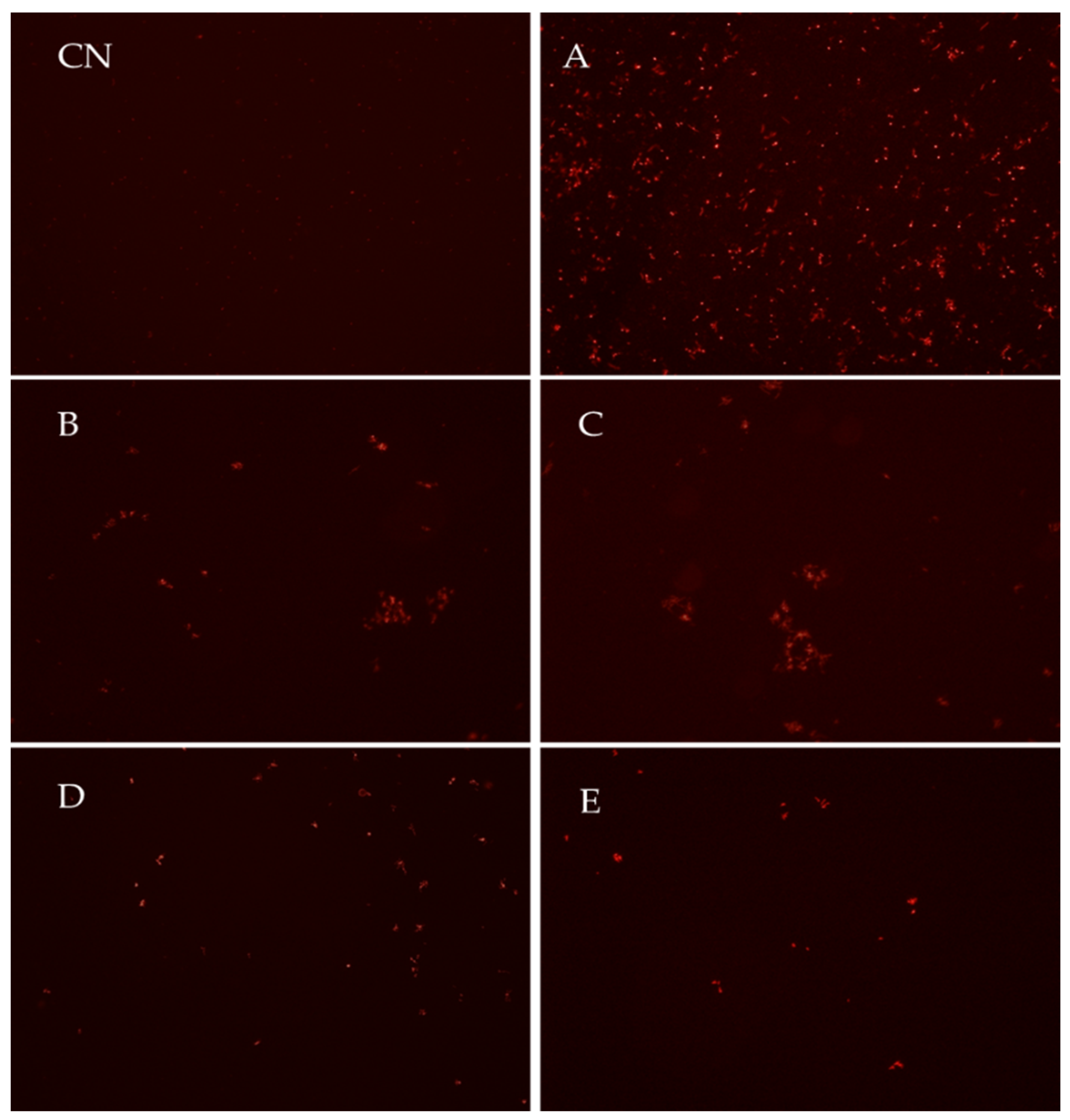 Processes 10 01788 g003
