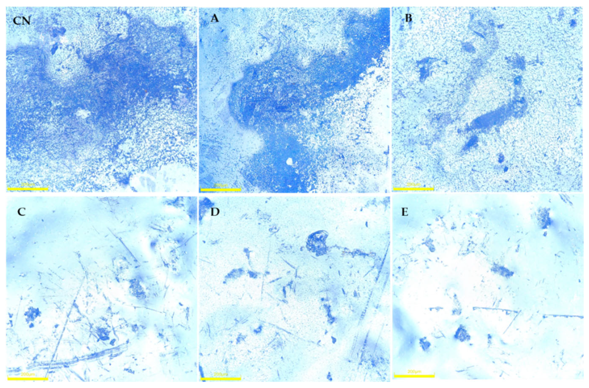 Processes 10 01788 g005