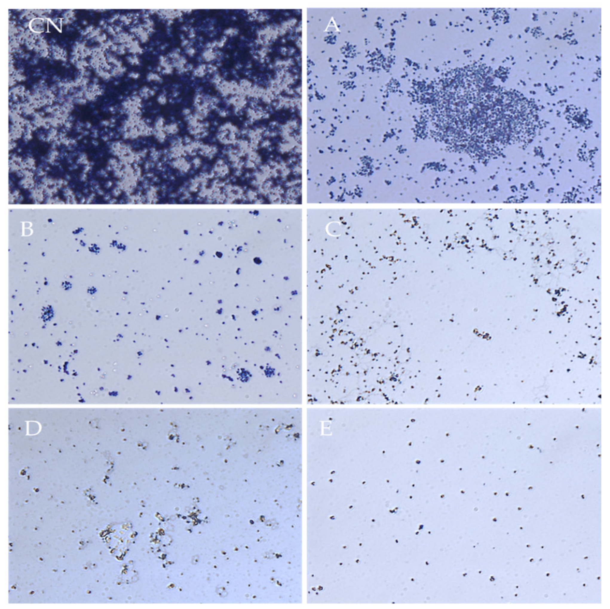 Processes 10 01788 g006