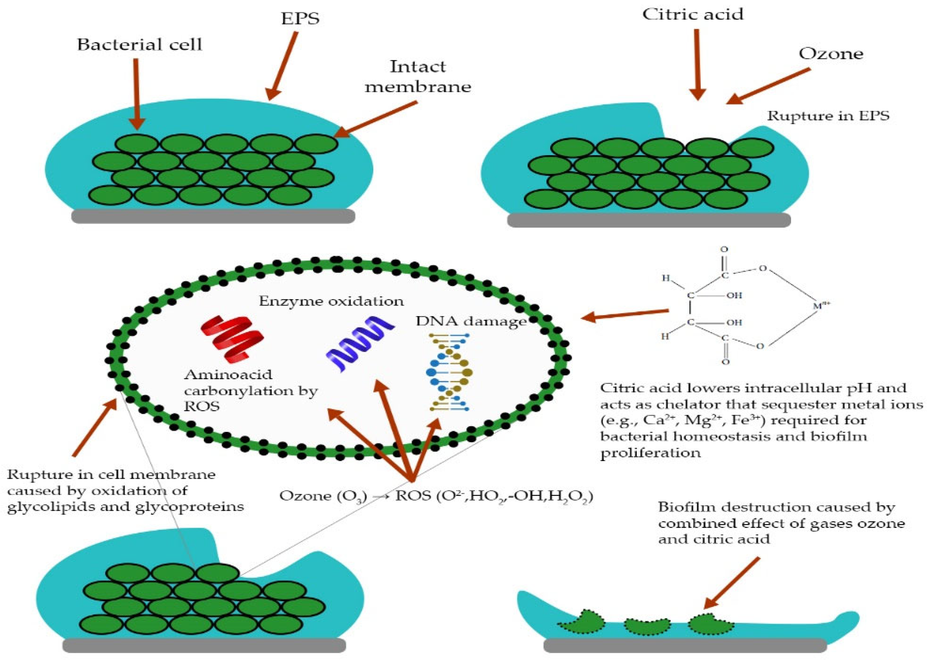 Processes 10 01788 g007