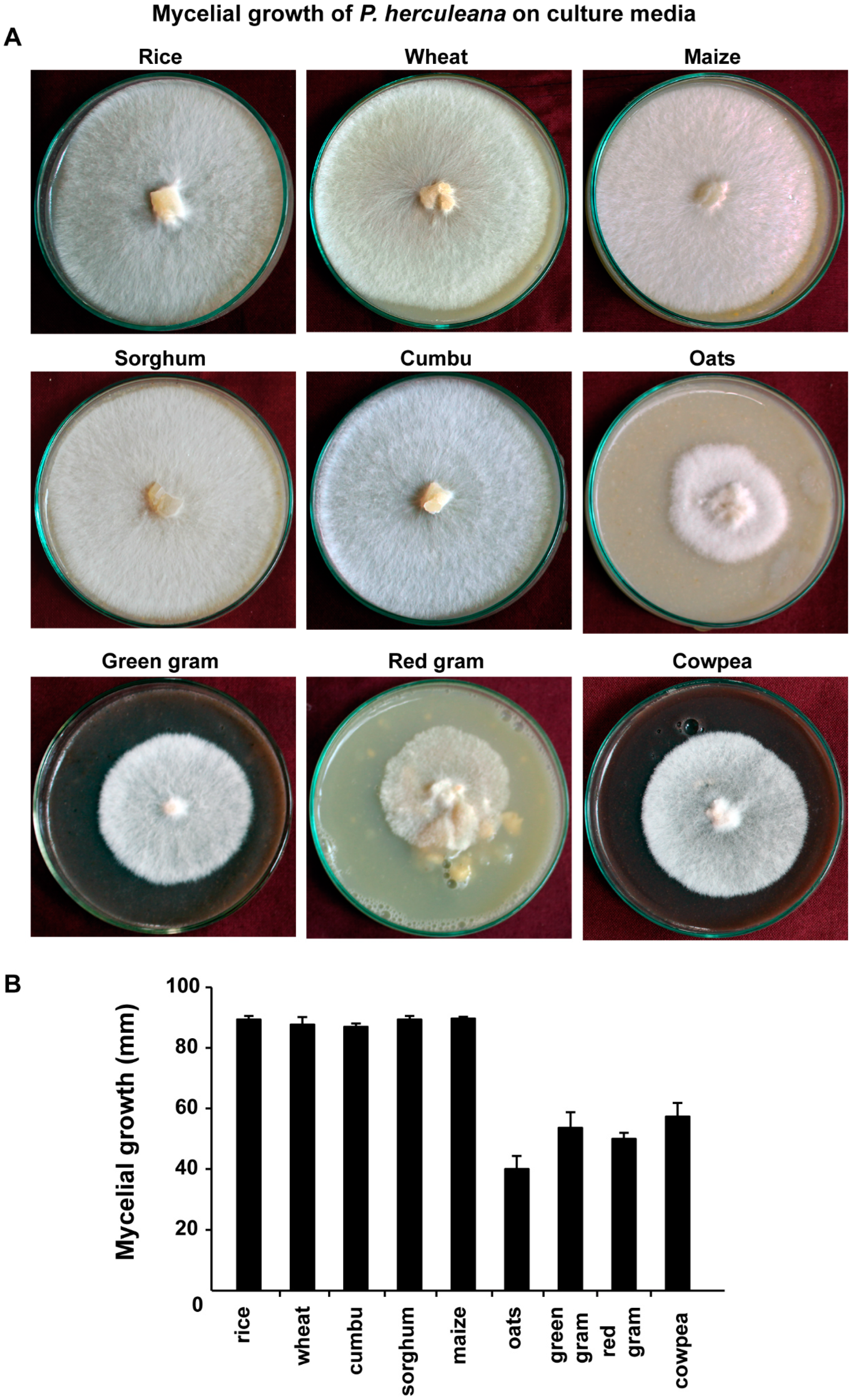 Processes 10 01797 g002 Processes 10 01797 g002