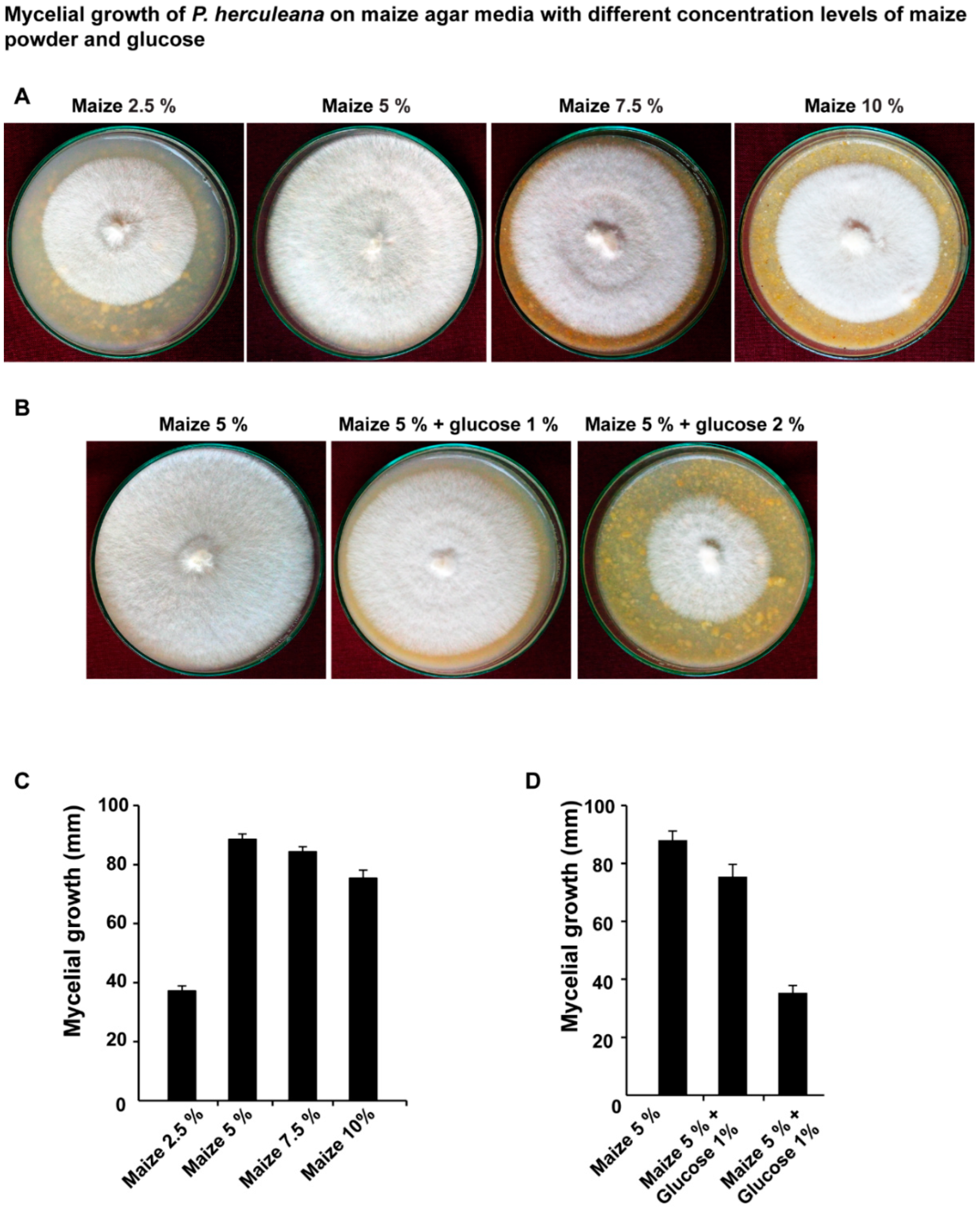 Processes 10 01797 g003 Processes 10 01797 g003