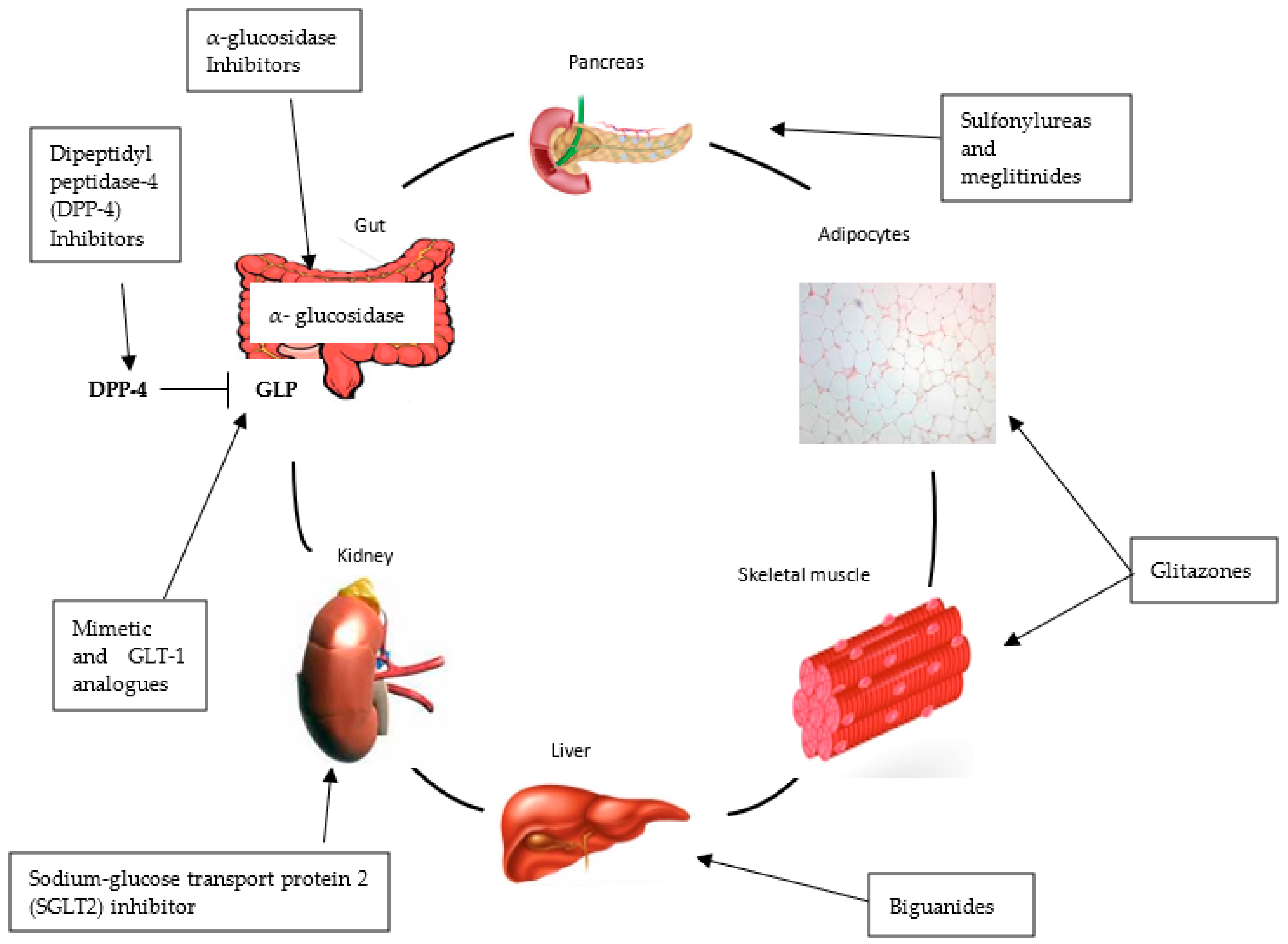 Processes 10 01817 g001