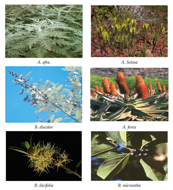 Processes 10 01817 g003a