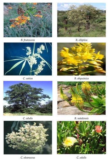 Processes 10 01817 g003b