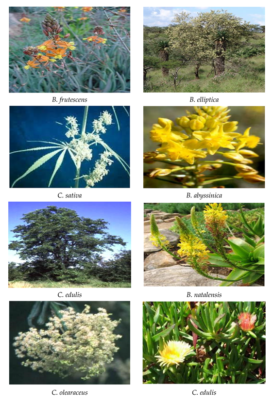 Processes 10 01817 g003b