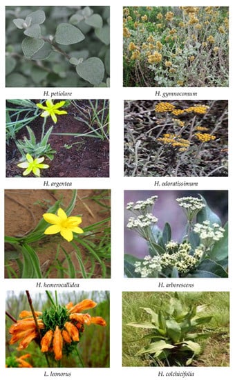 Processes 10 01817 g003d