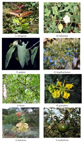 Processes 10 01817 g003e