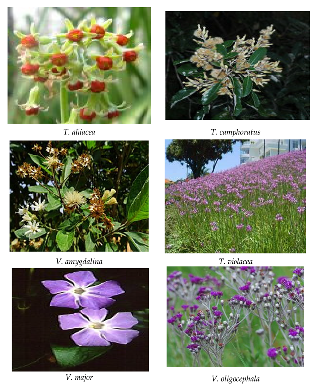 Processes 10 01817 g003f