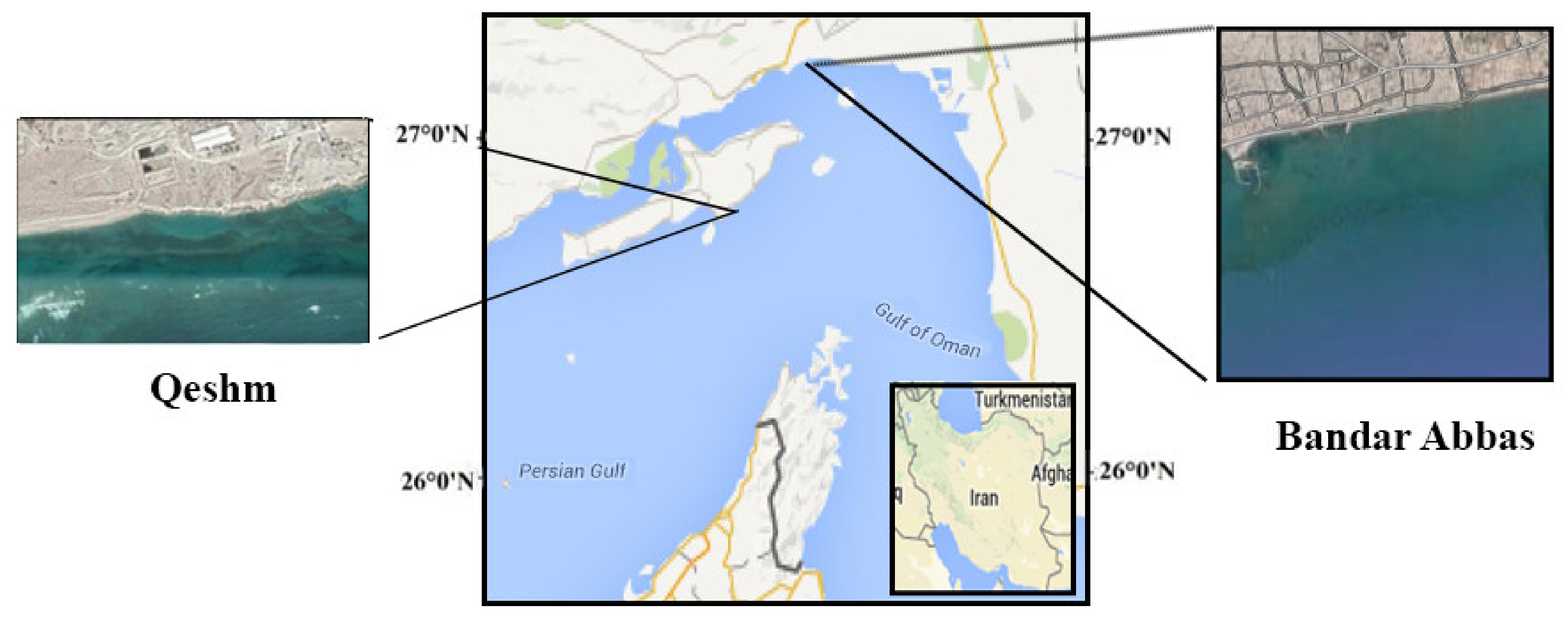 Processes 10 01834 g001