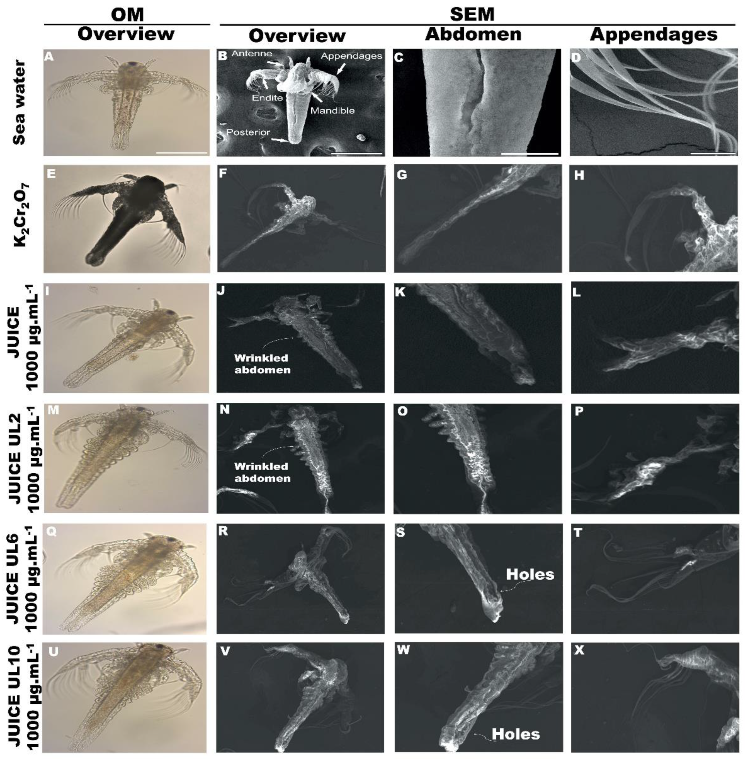 Processes 10 01880 g002