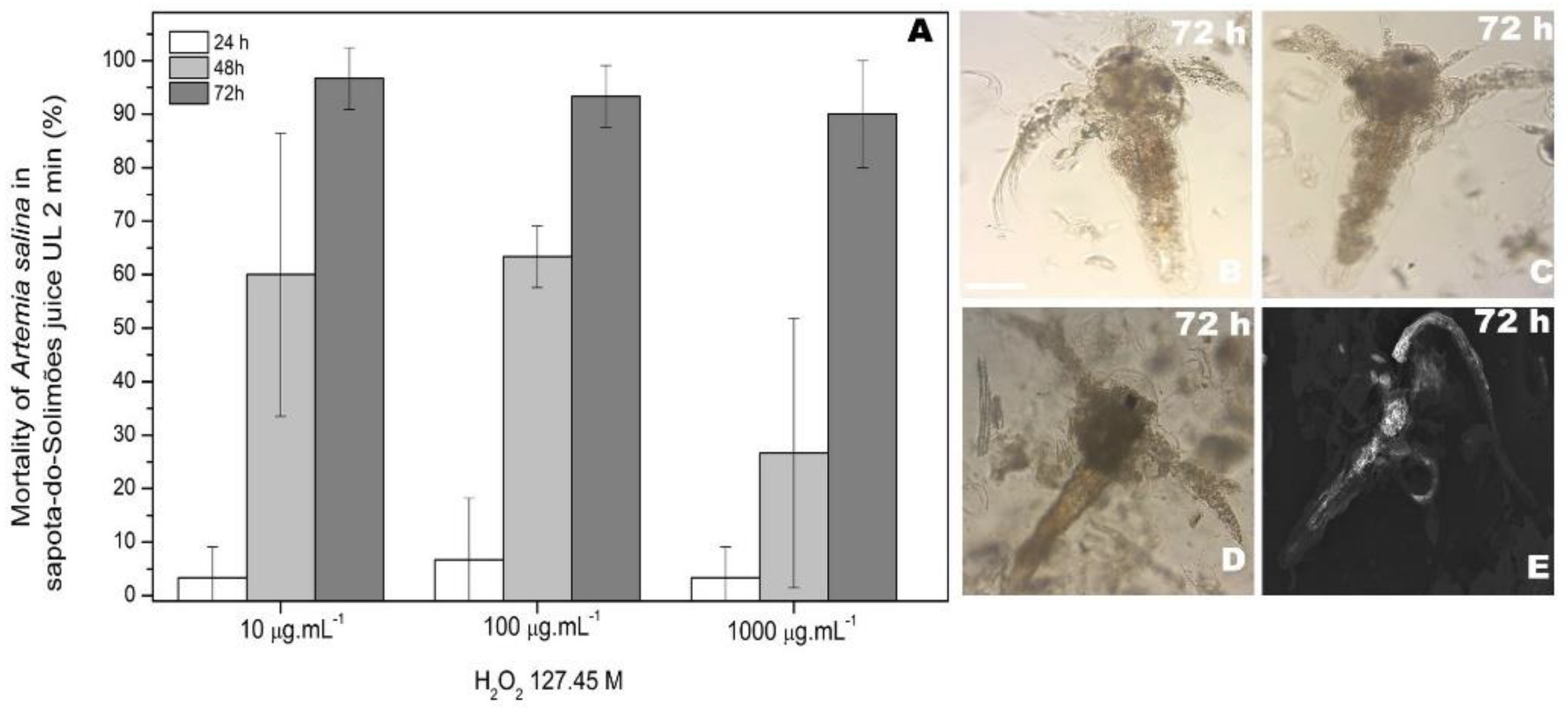 Processes 10 01880 g005