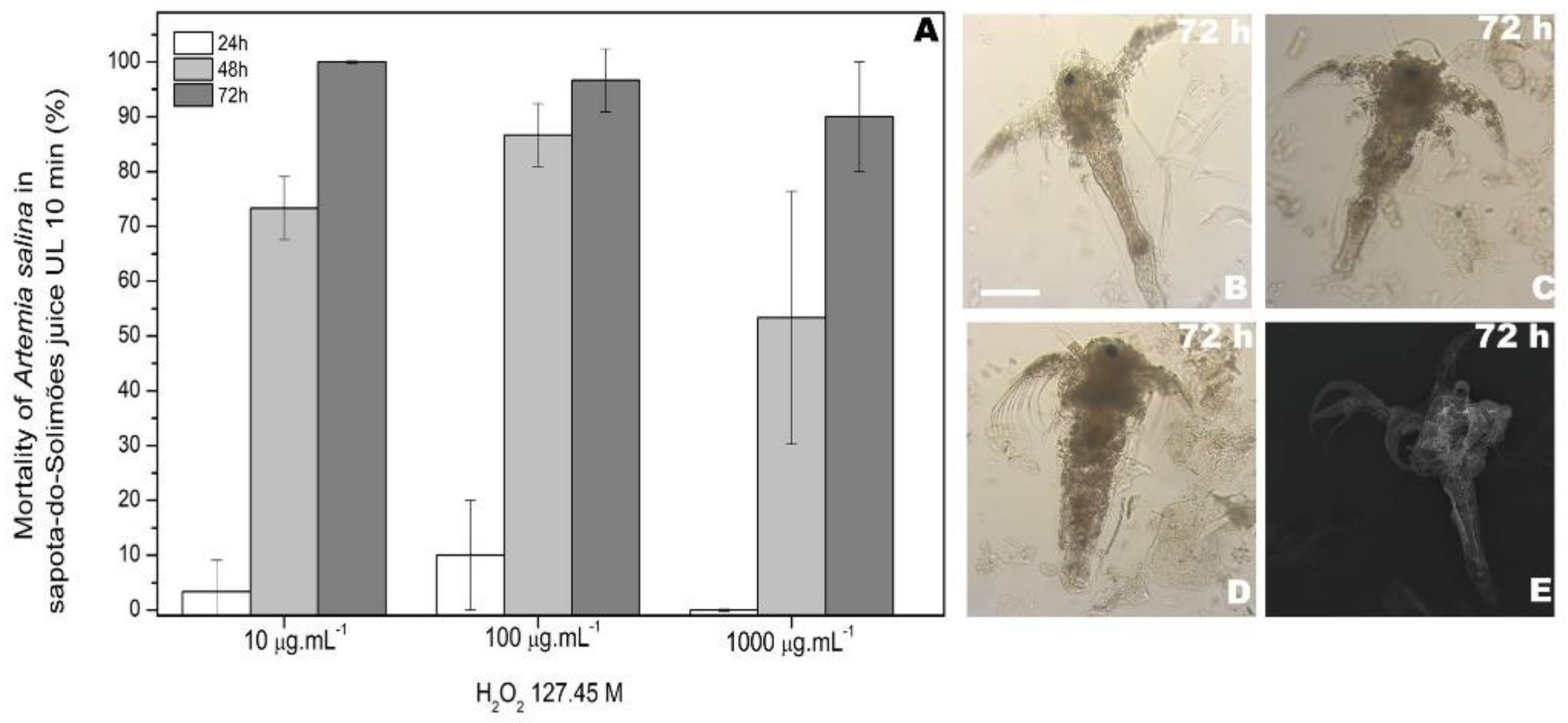 Processes 10 01880 g007