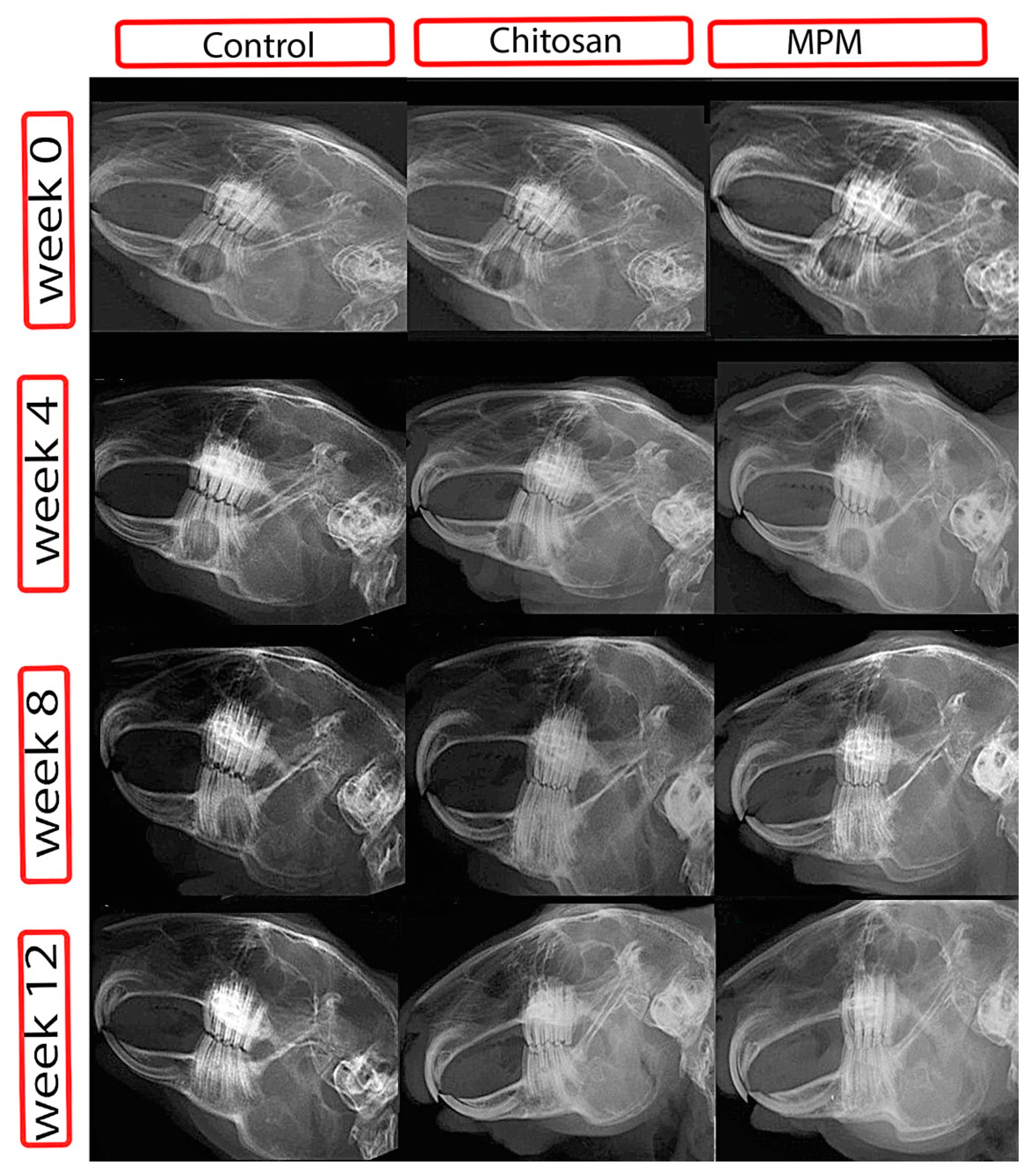Processes 10 01890 g002