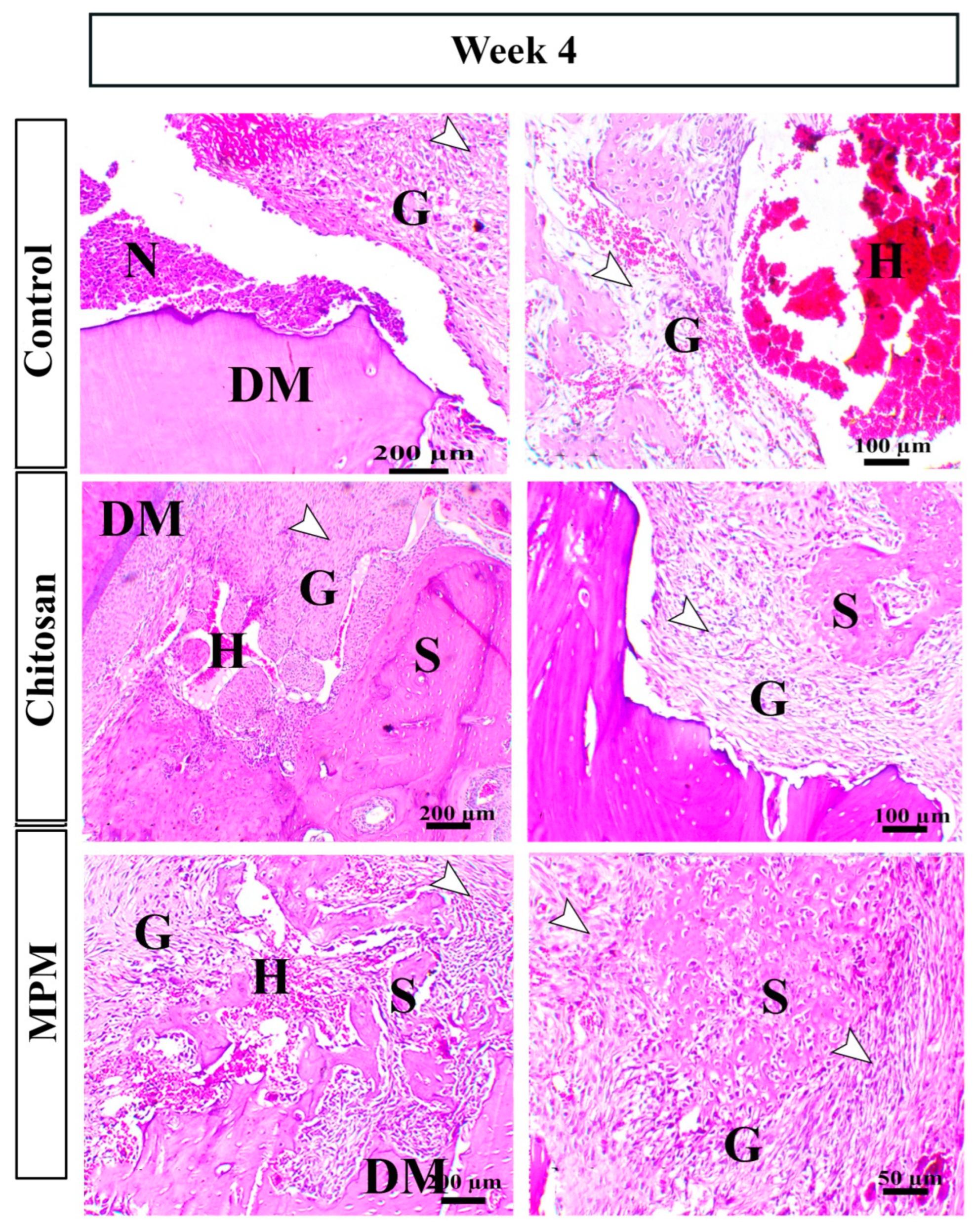 Processes 10 01890 g004