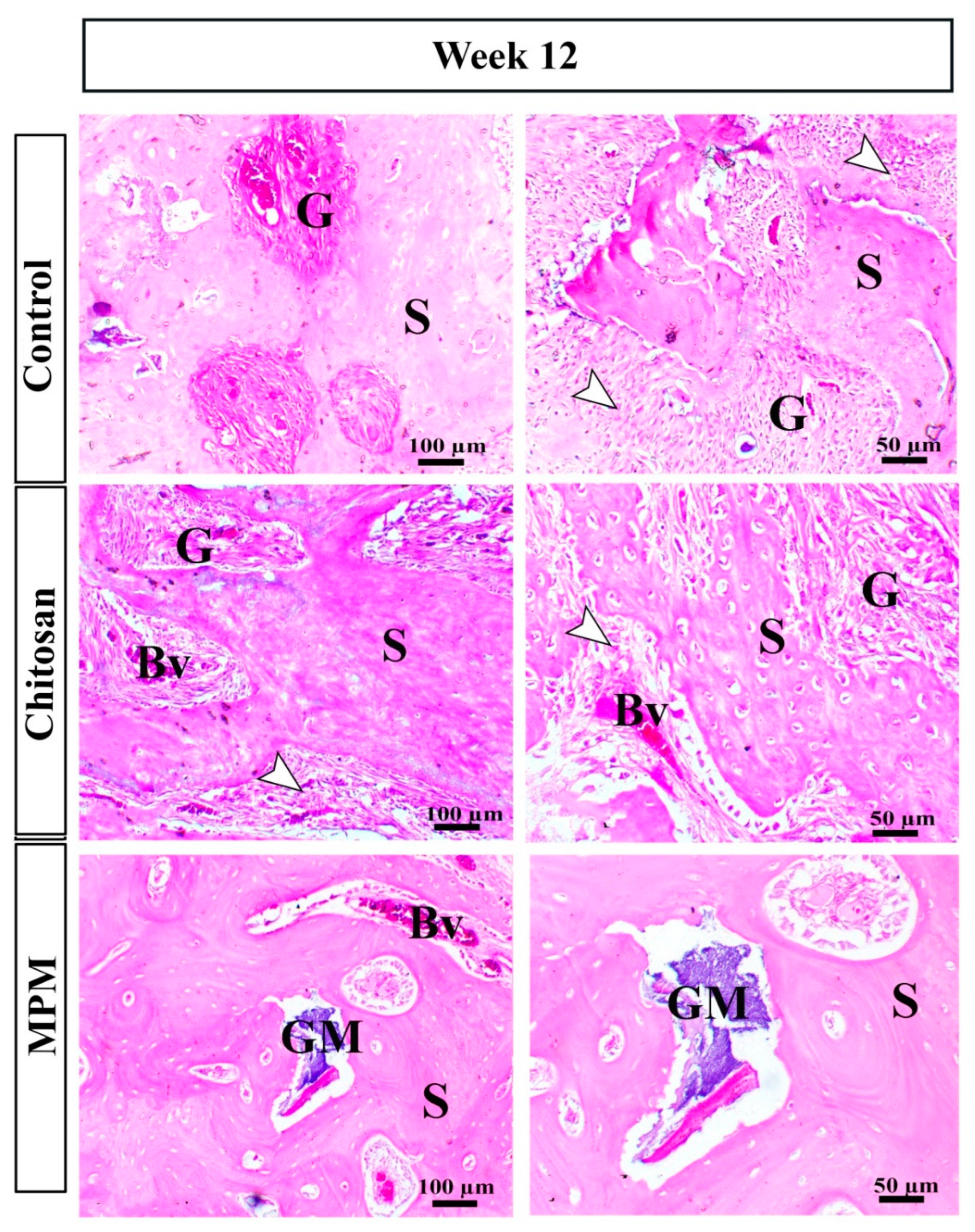 Processes 10 01890 g006