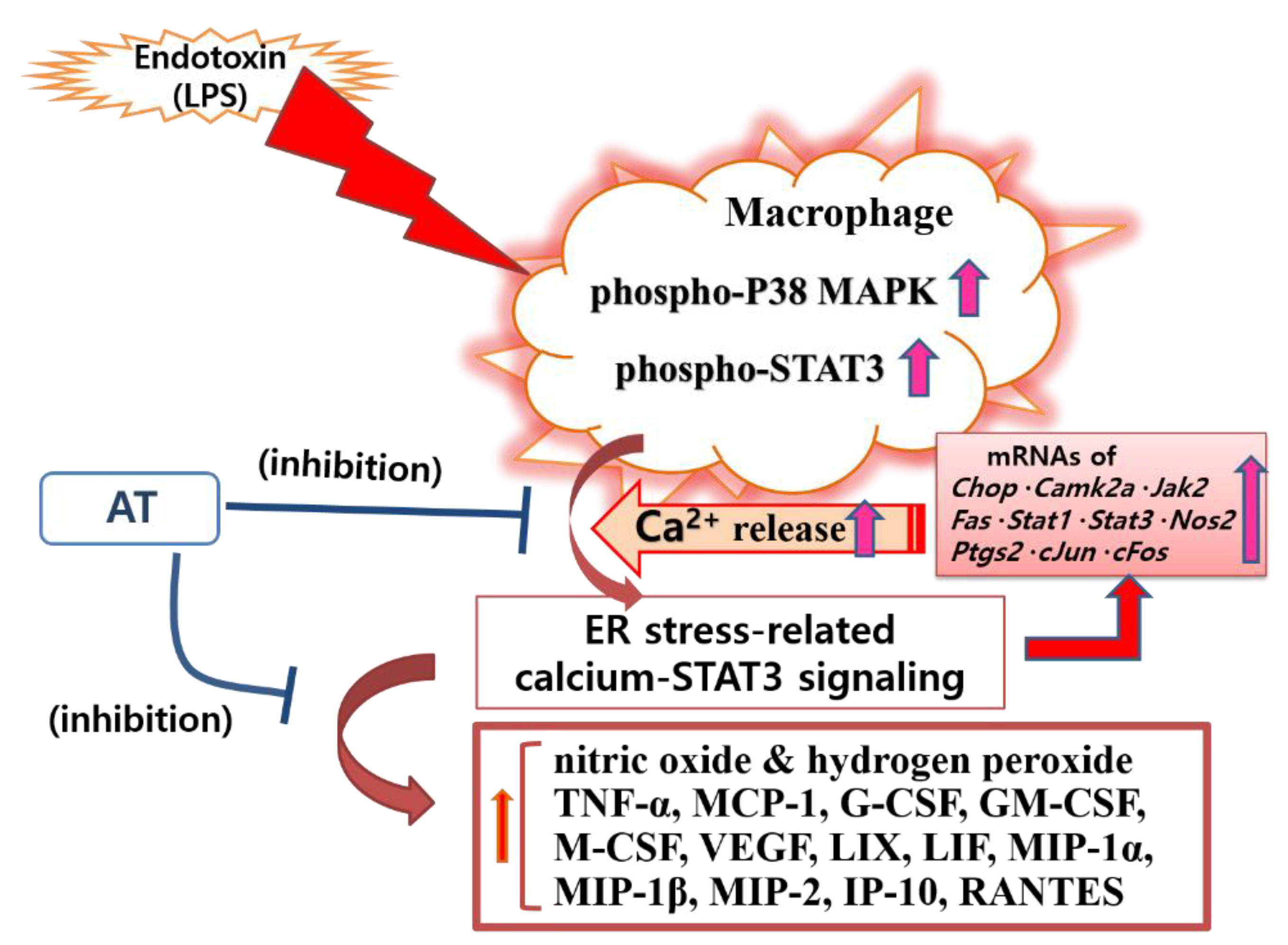 Processes 10 02238 g007 Processes 10 02238 g007