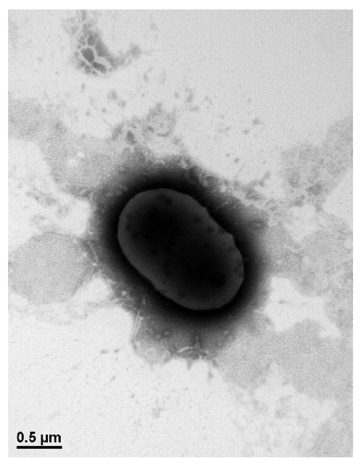 Processes 10 02256 g002