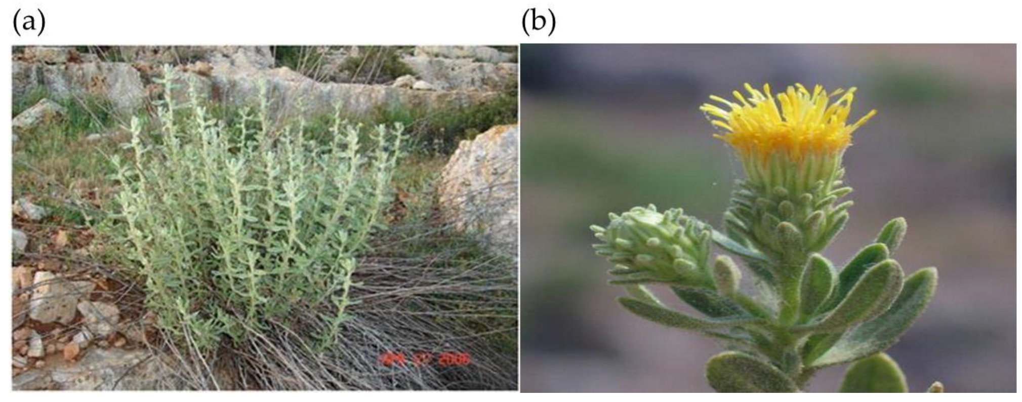 Processes 10 02375 g001 Processes 10 02375 g001