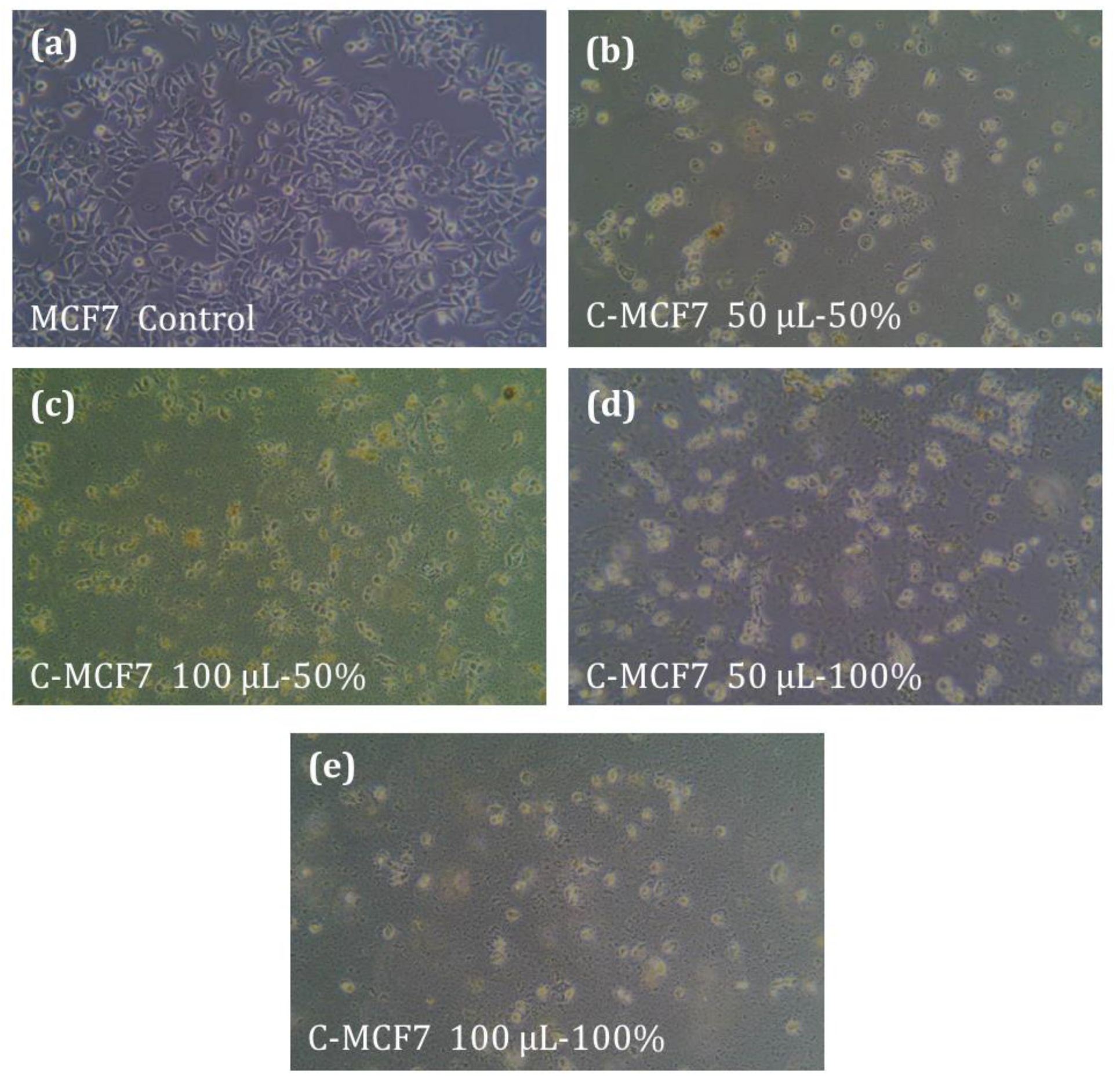 Processes 10 02375 g004 Processes 10 02375 g004