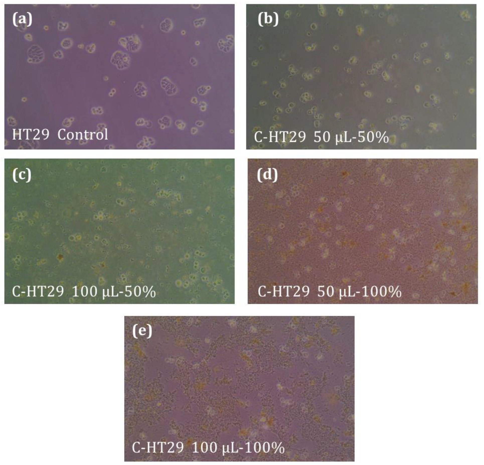 Processes 10 02375 g005 Processes 10 02375 g005