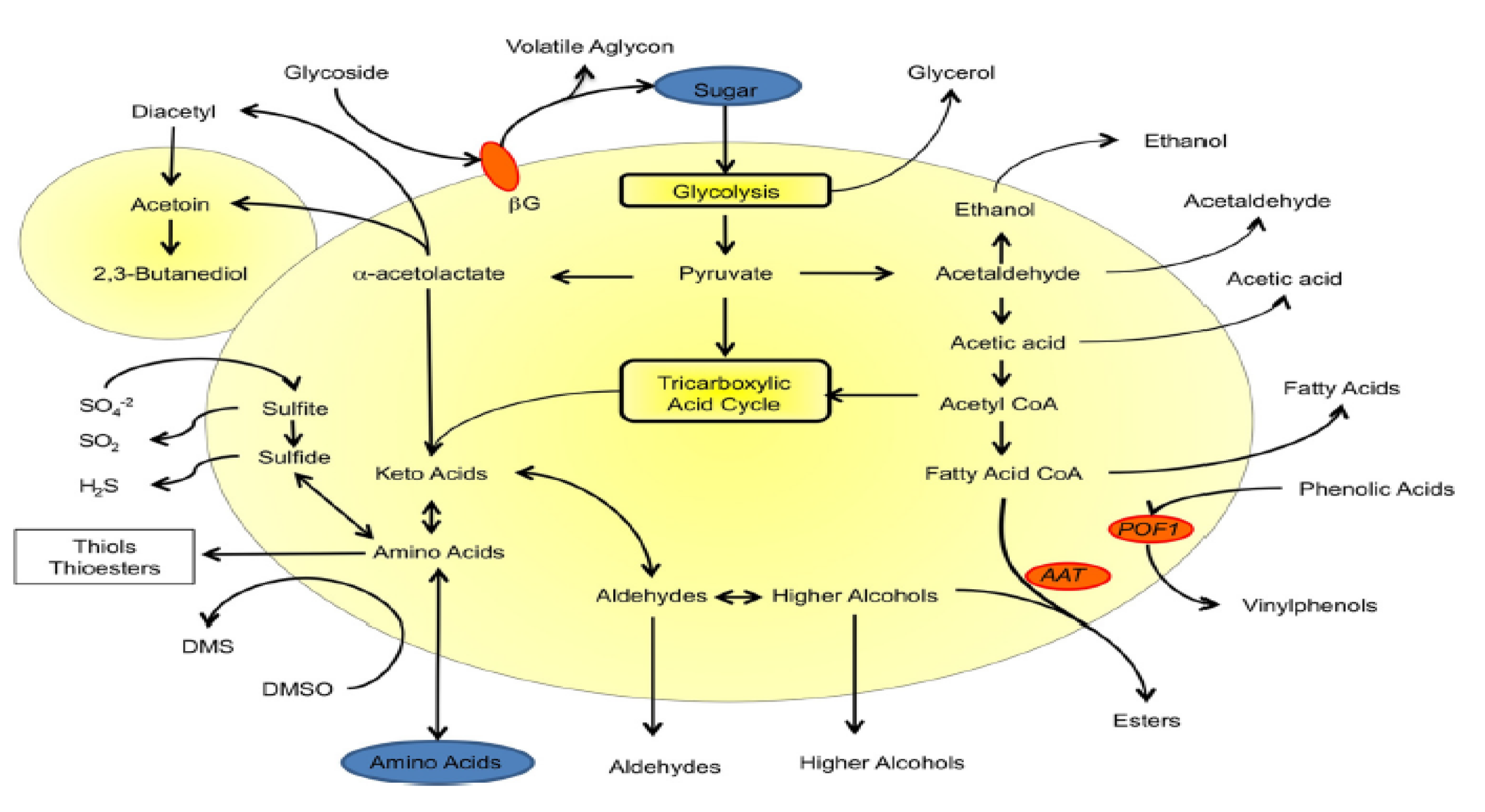 Processes 10 02400 g002