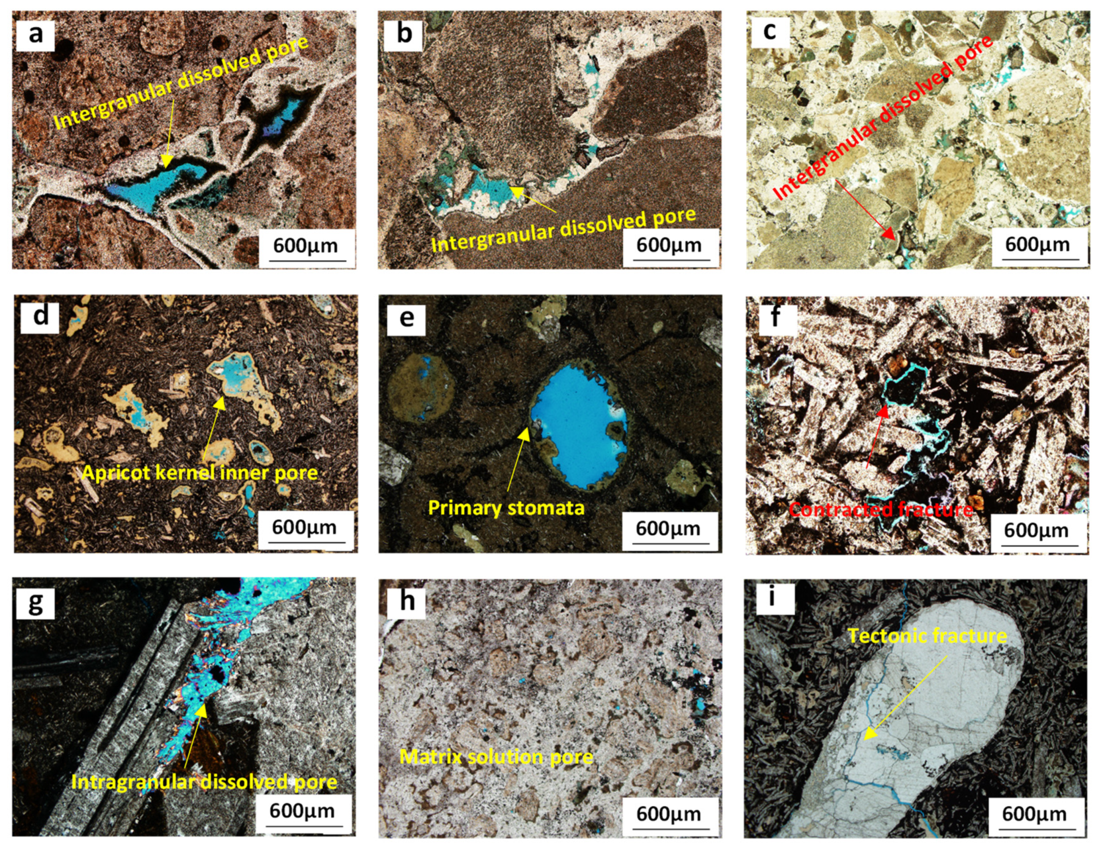 Processes 10 02430 g002