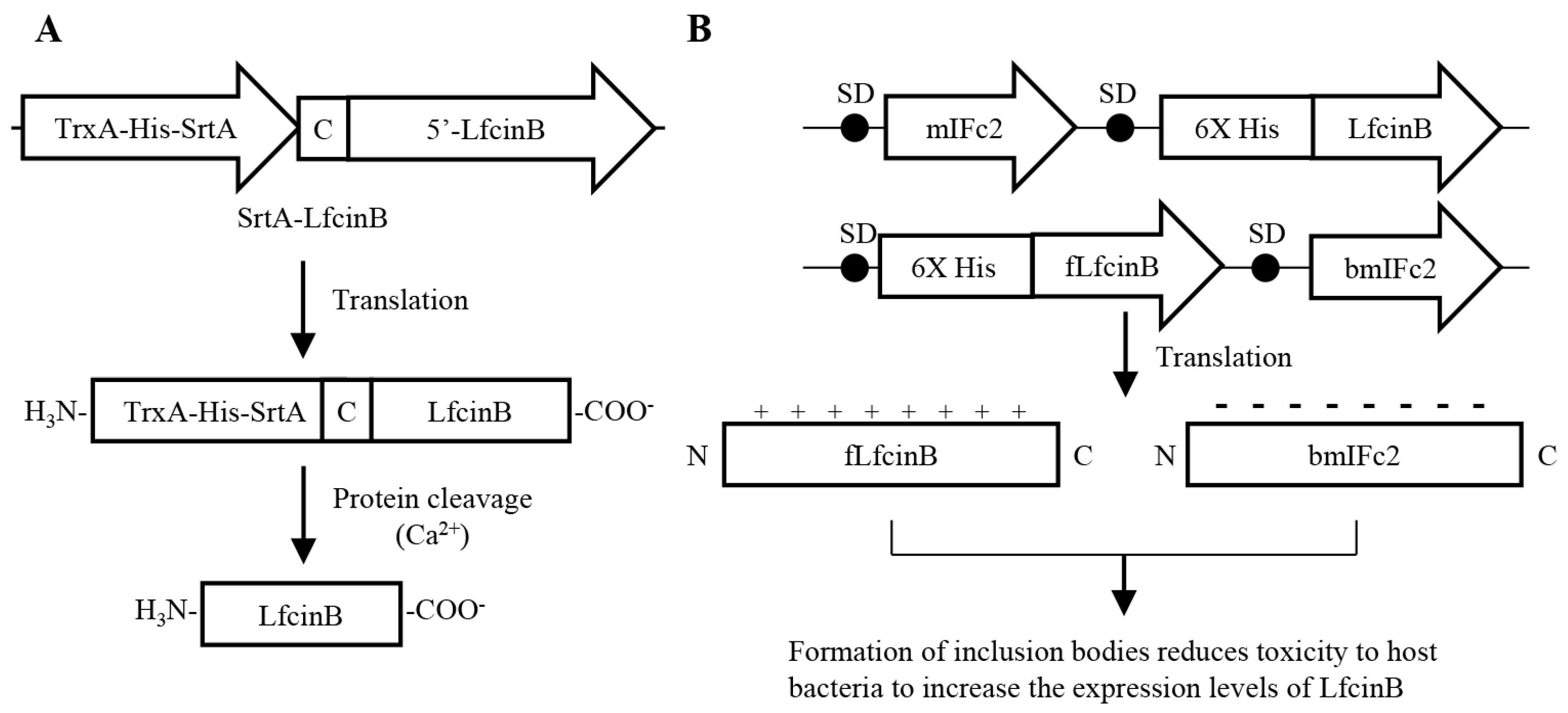 Processes 10 02470 g001
