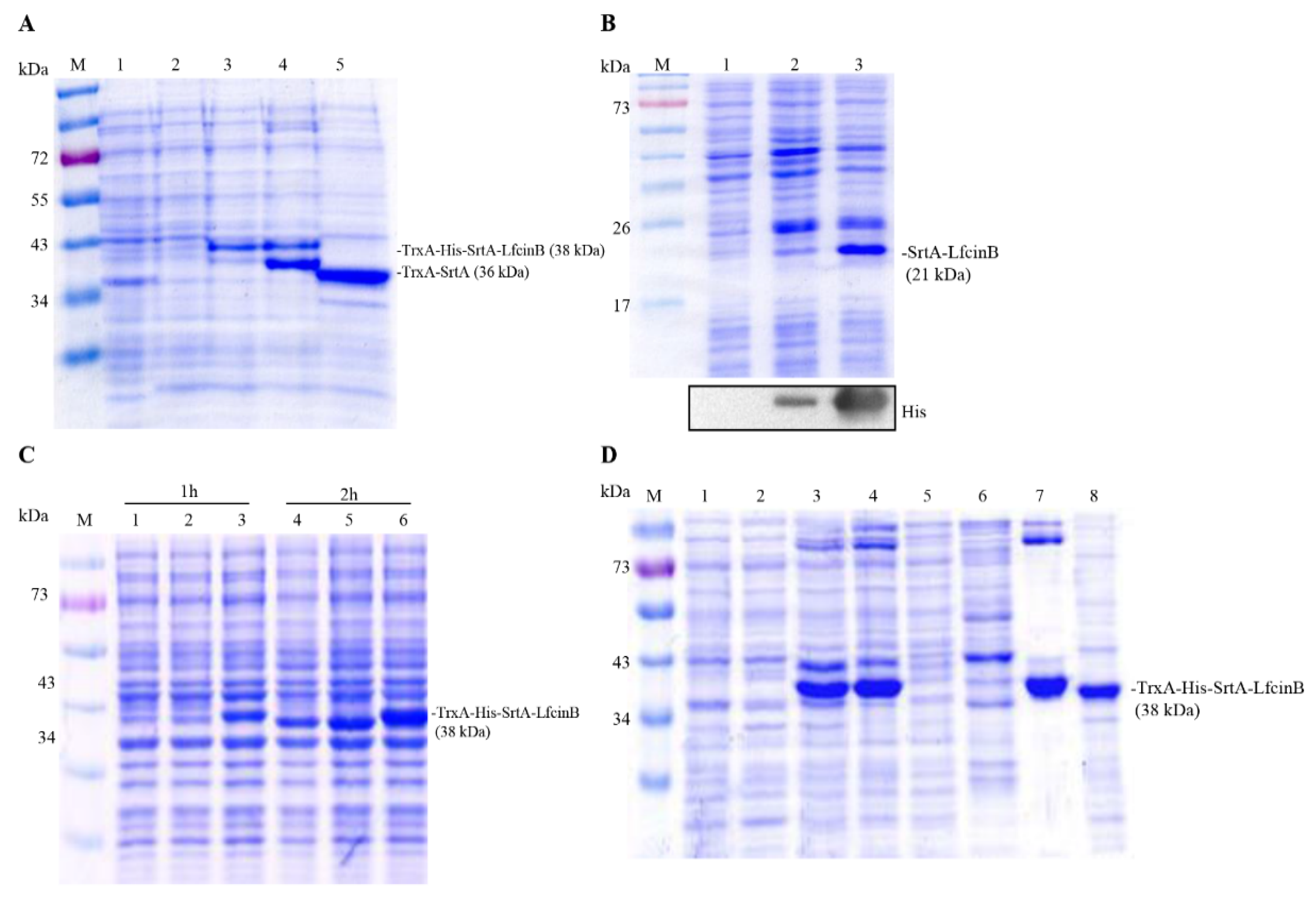 Processes 10 02470 g004
