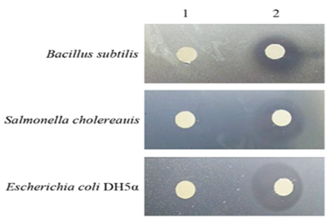 Processes 10 02470 g007