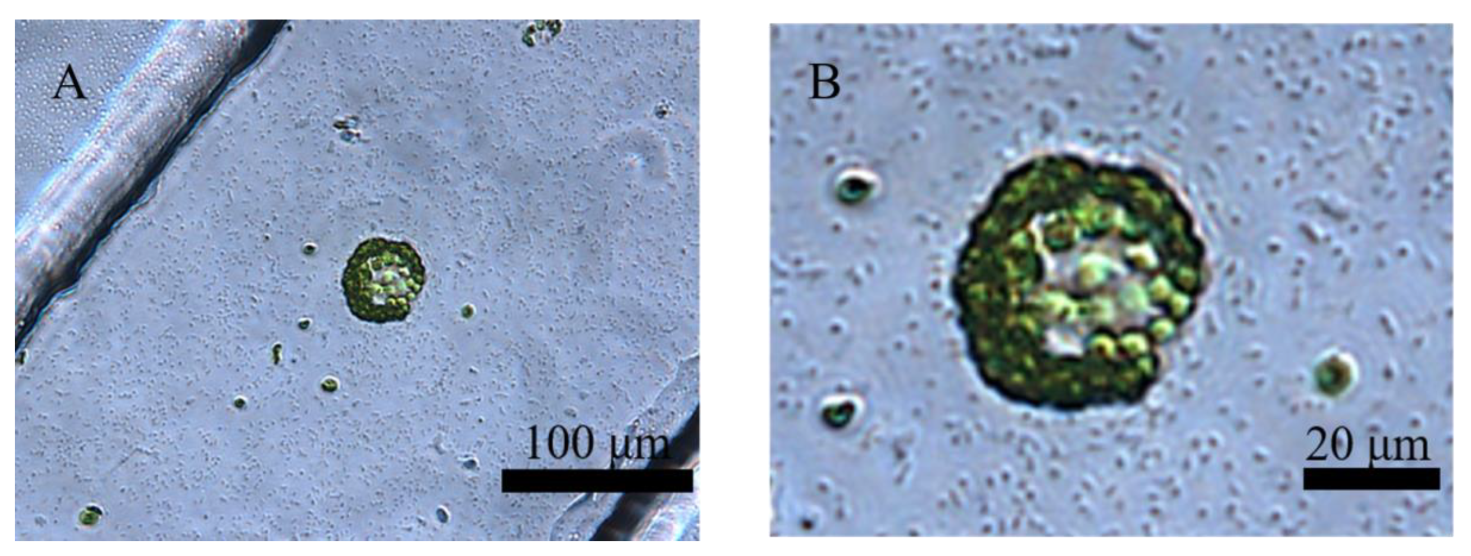 Processes 10 02507 g005