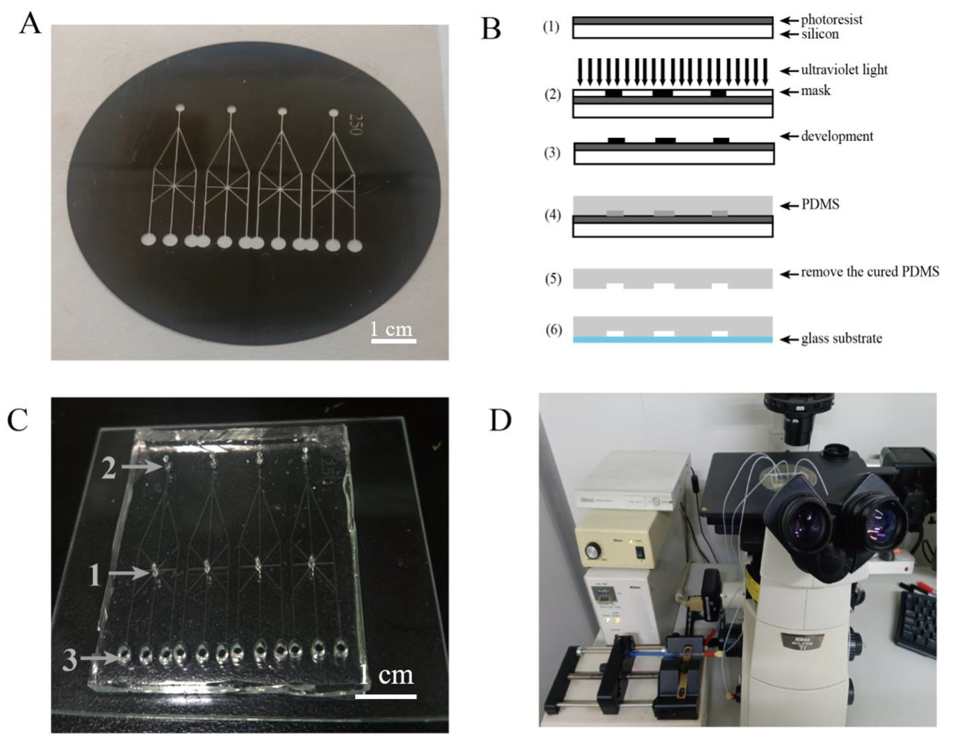 Processes 10 02507 sch001