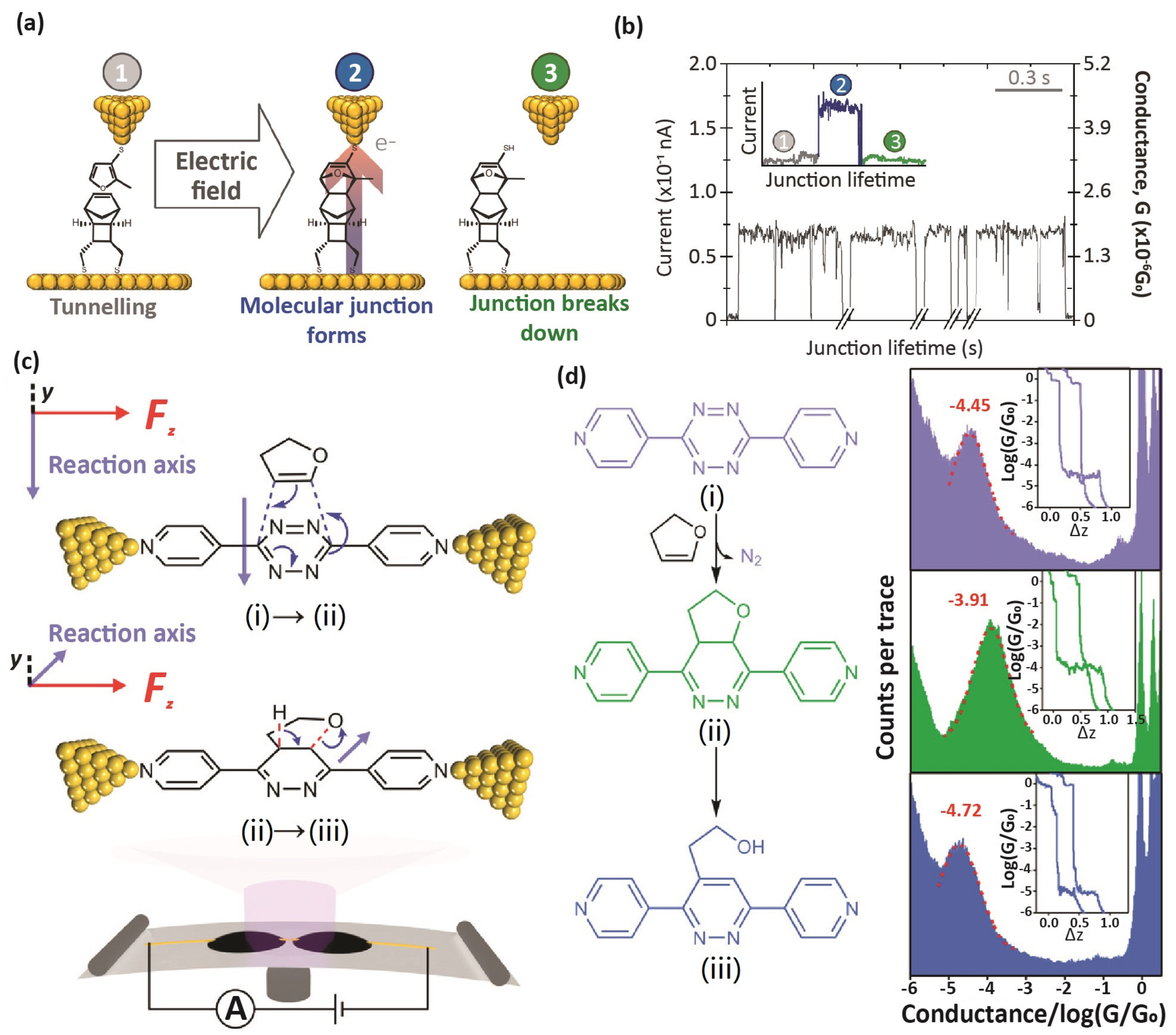 Processes 10 02574 g002 Processes 10 02574 g002