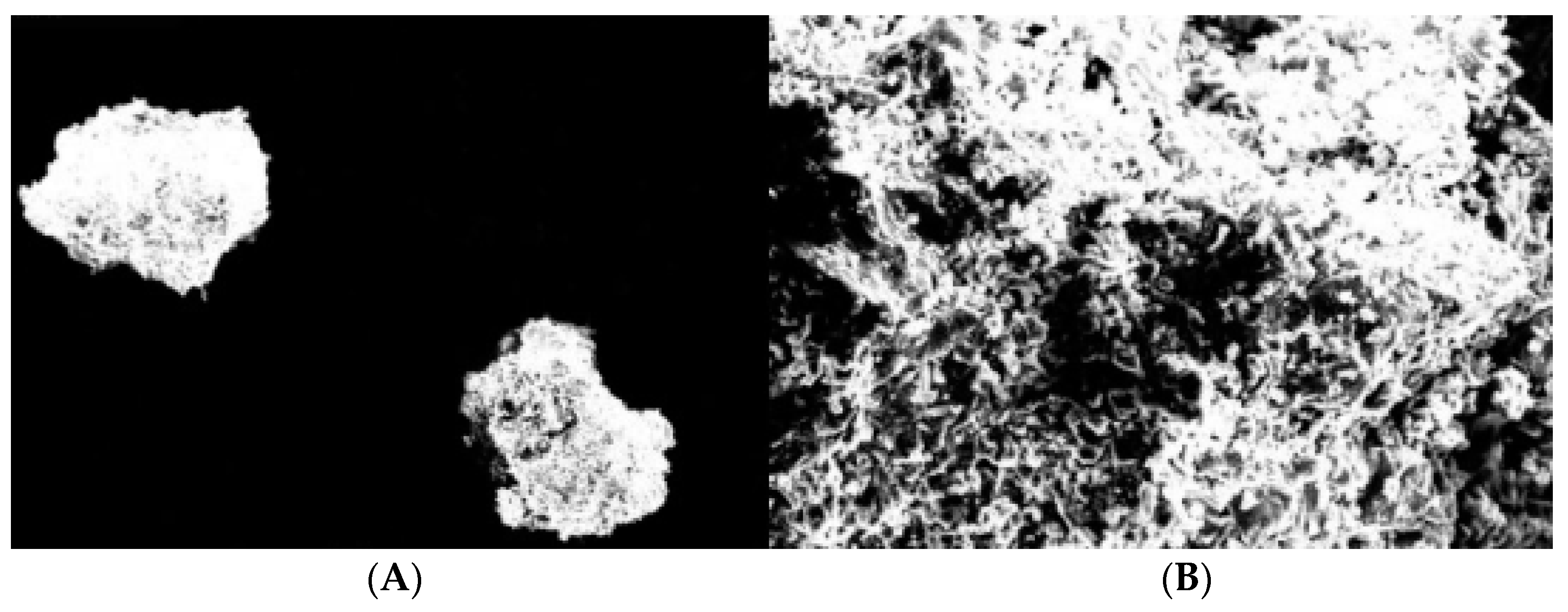 Processes 10 02697 g006