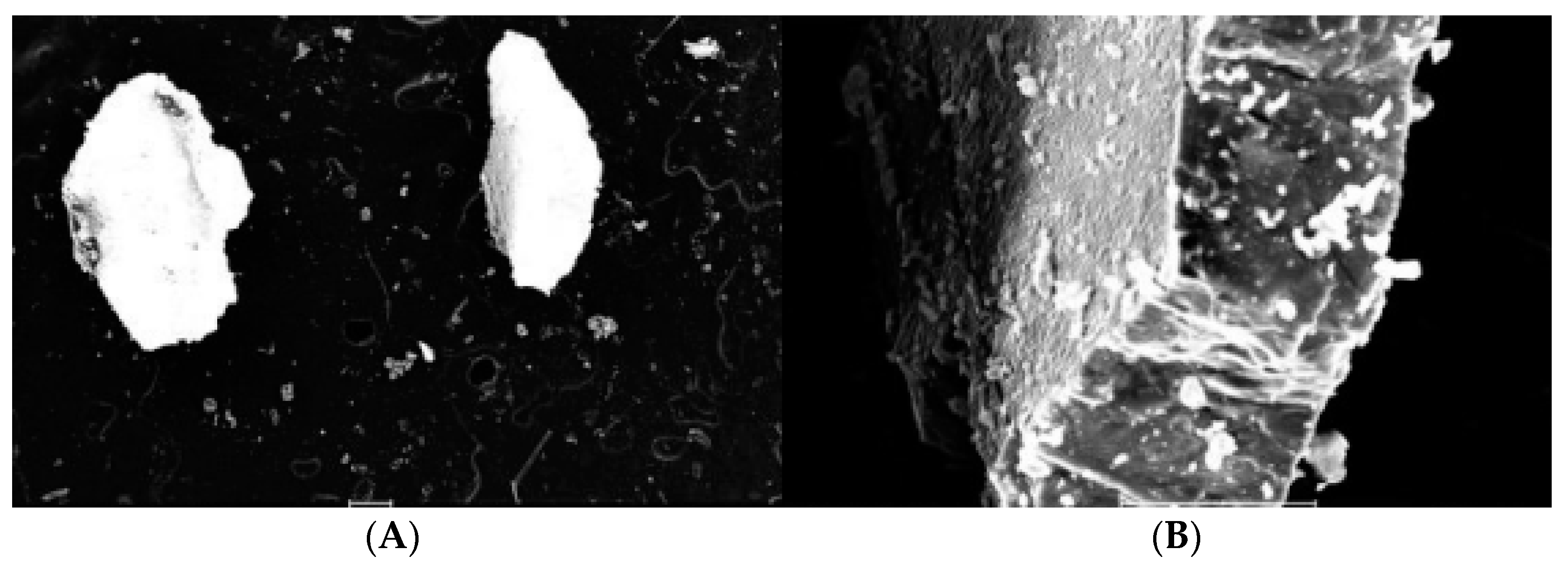 Processes 10 02697 g008