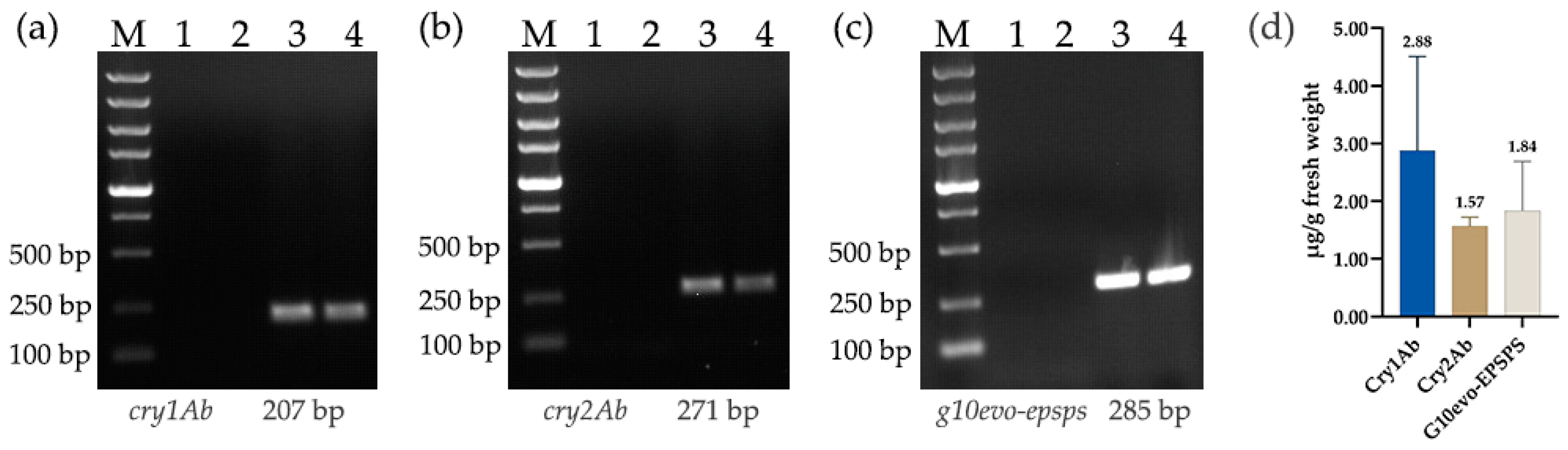 Processes 10 02739 g002