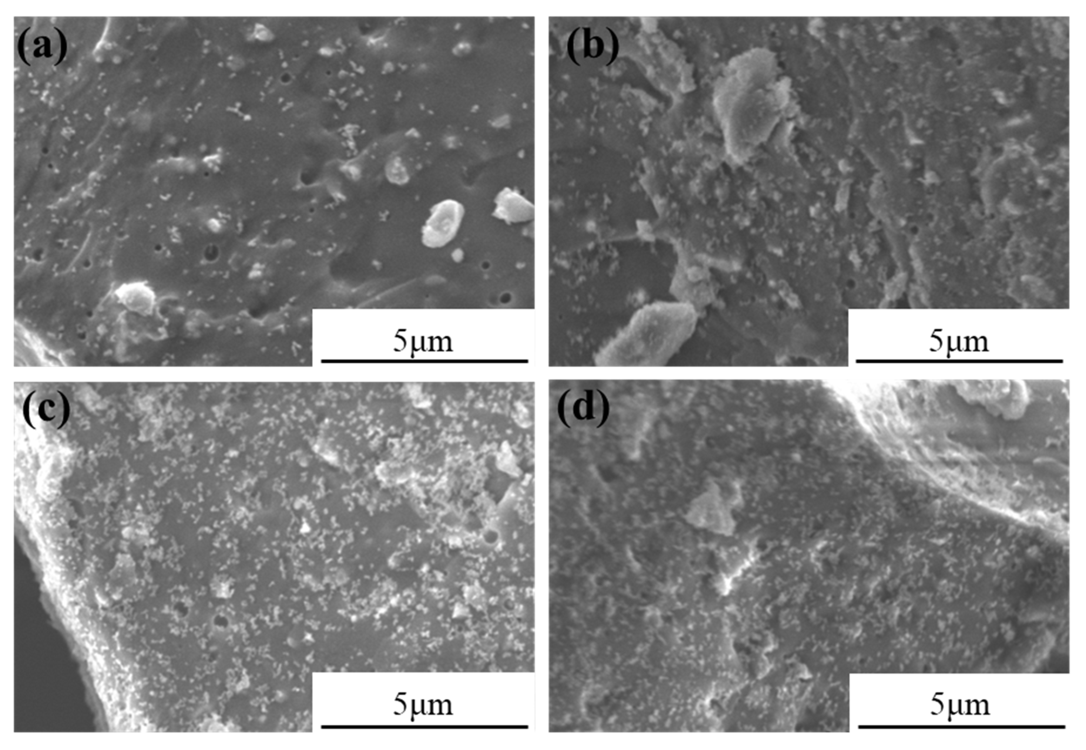 Processes 11 00002 g010