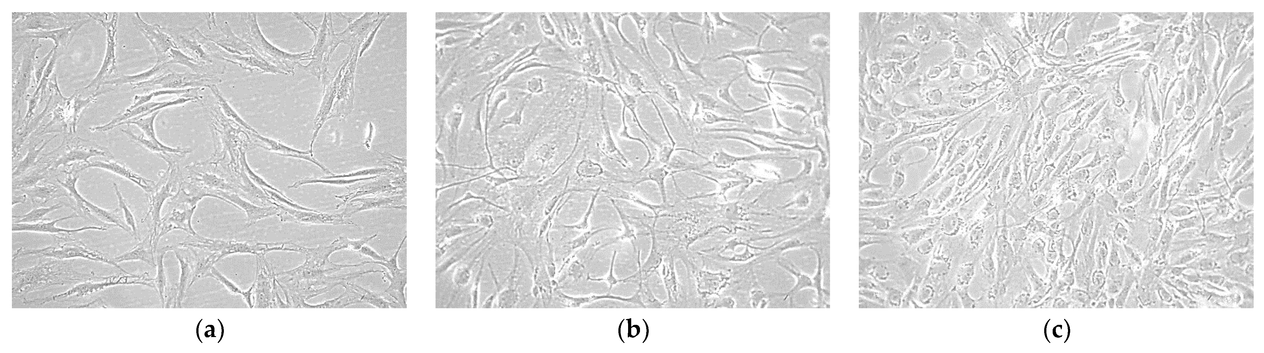 Processes 11 00022 g003