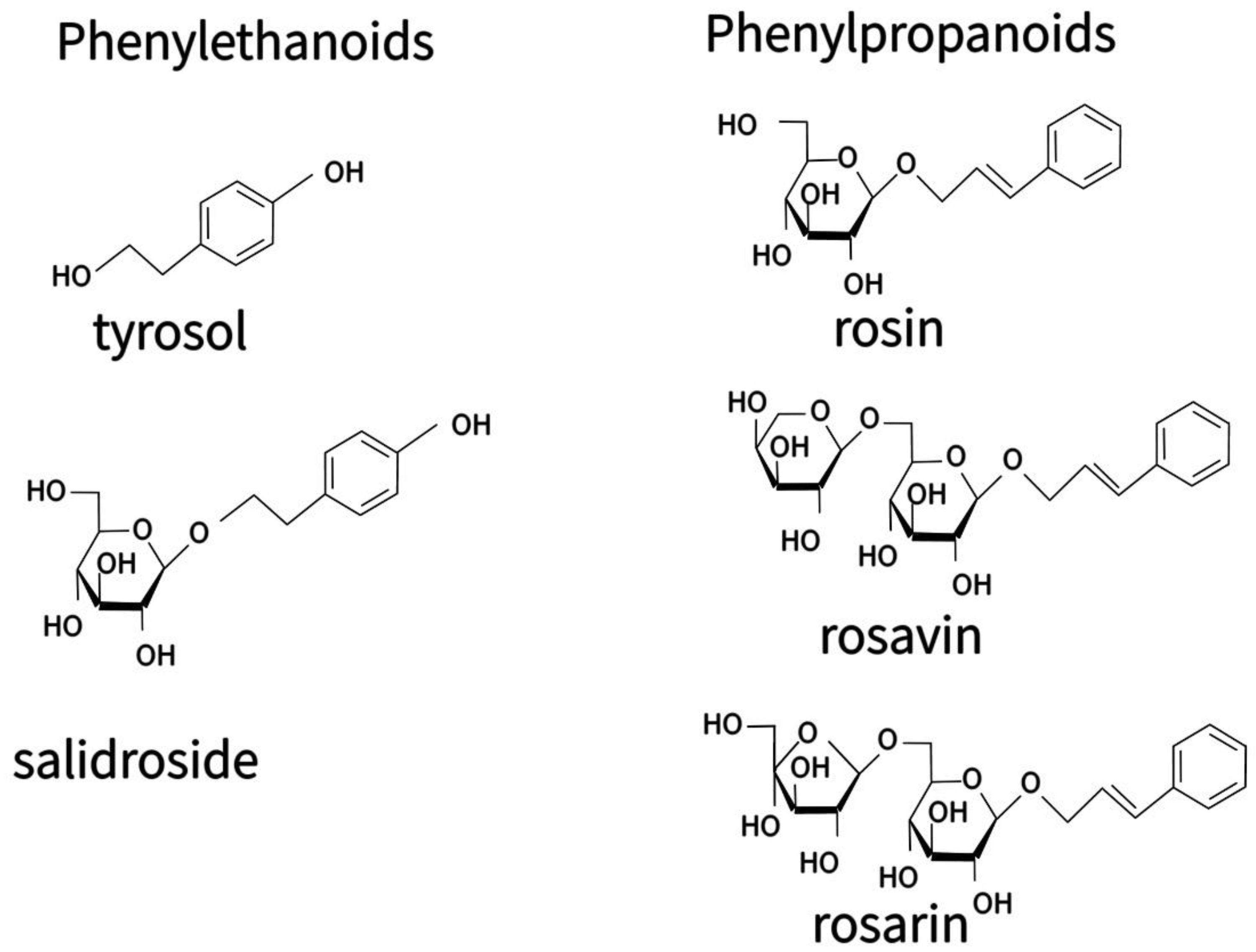 Processes 11 00028 g001 Processes 11 00028 g001