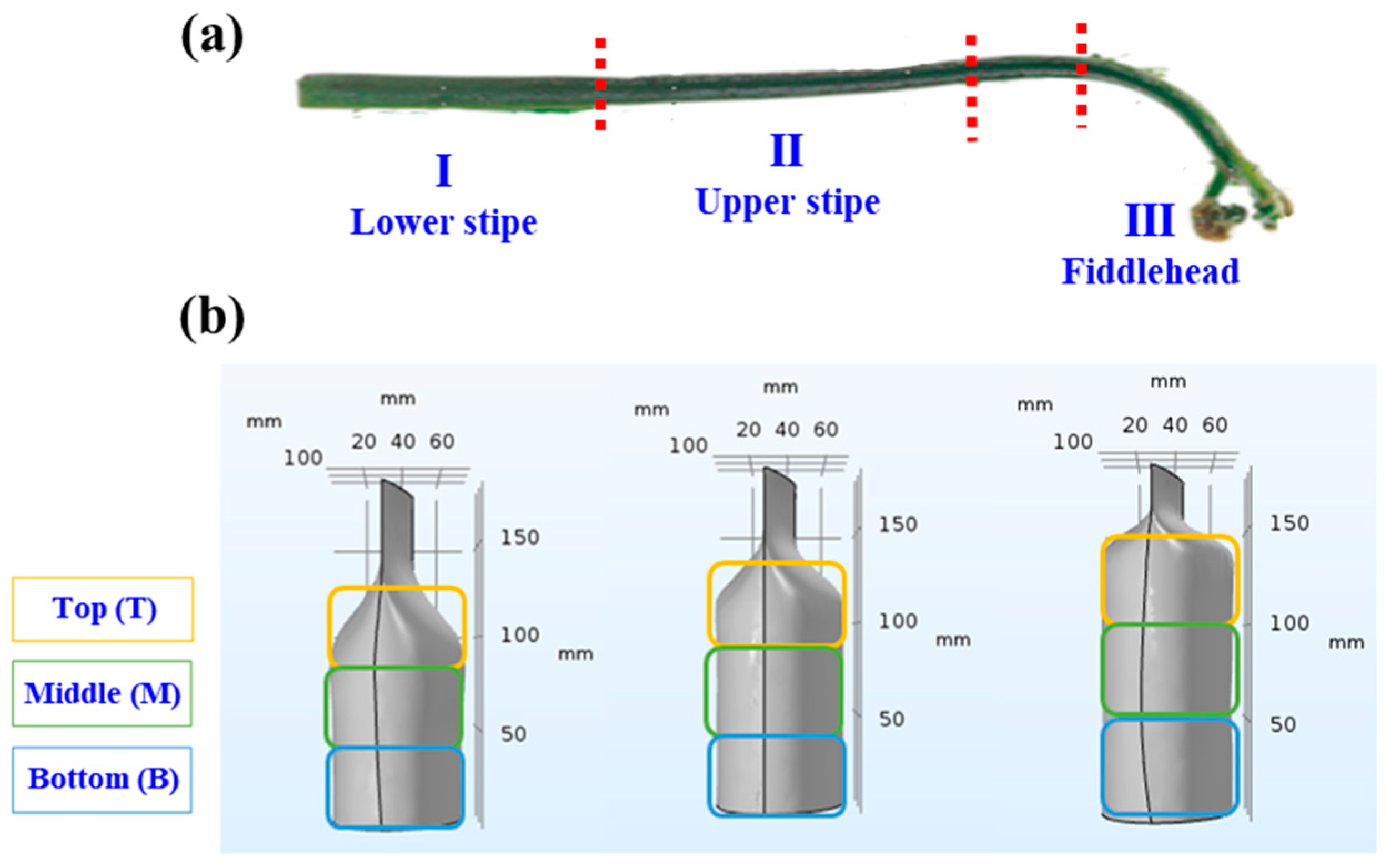 Processes 11 00035 g002