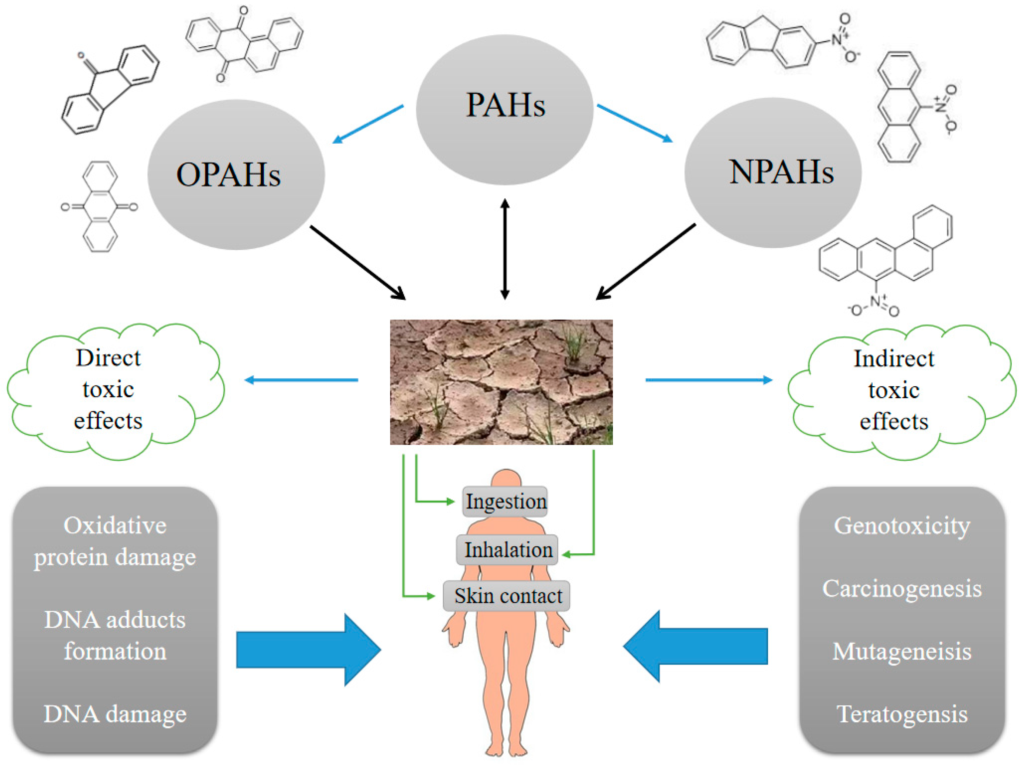 Processes 11 00052 g003
