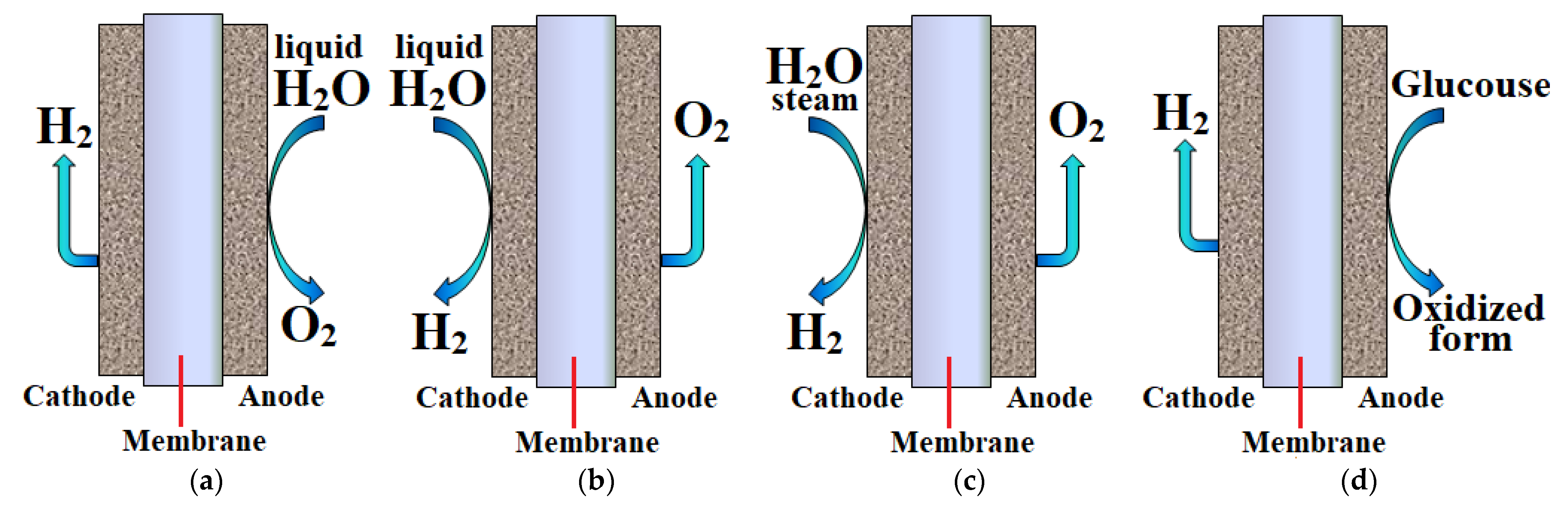 Processes 11 00056 g011